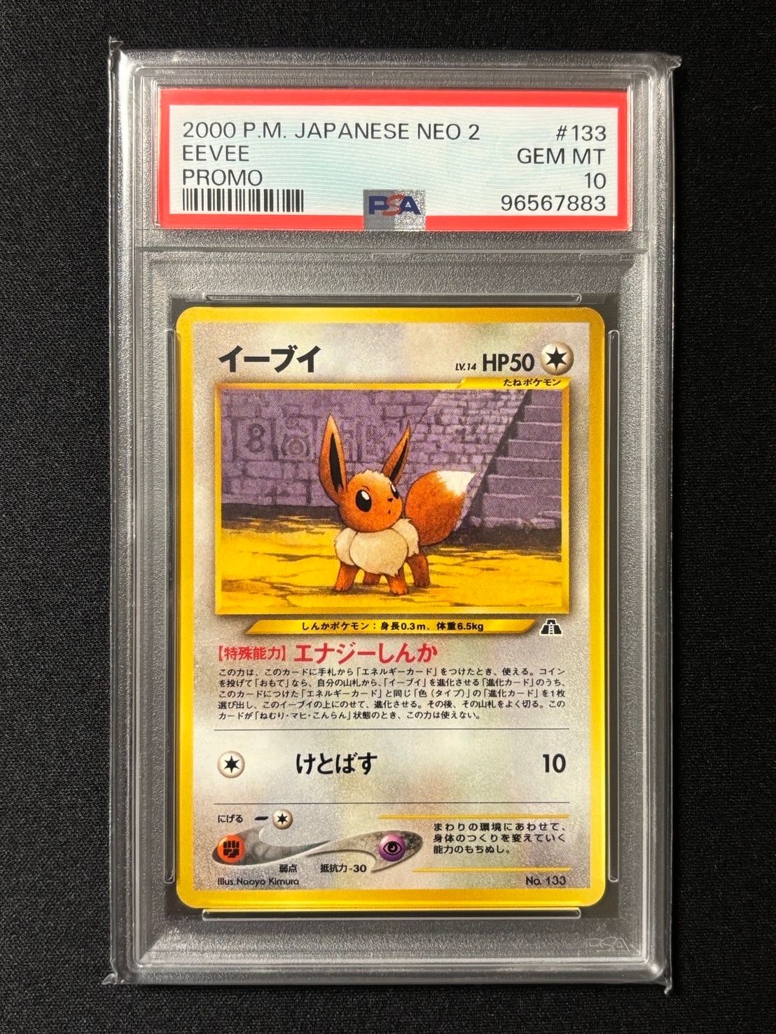 イーブイプレミアムファイル2: 旧裏[neoP2 No.133](プレミアムファイル2)
