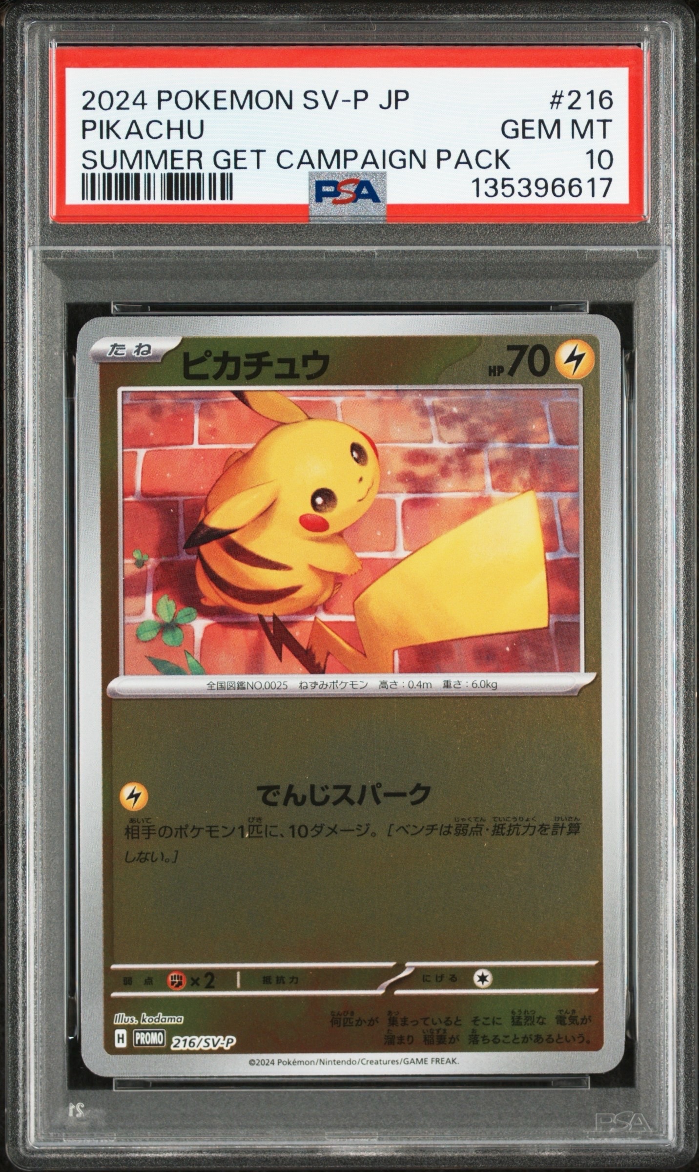 PSA10】ピカチュウ P [SV-P 216](プロモカードパック「ポケカの夏が