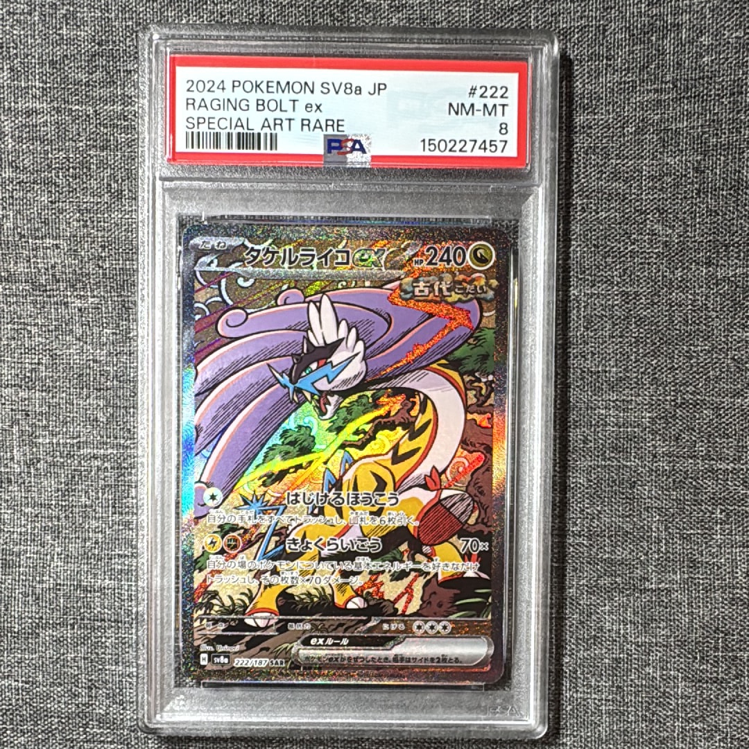 タケルライコex SAR [SV8a 222/187](ハイクラスパック「テラスタル