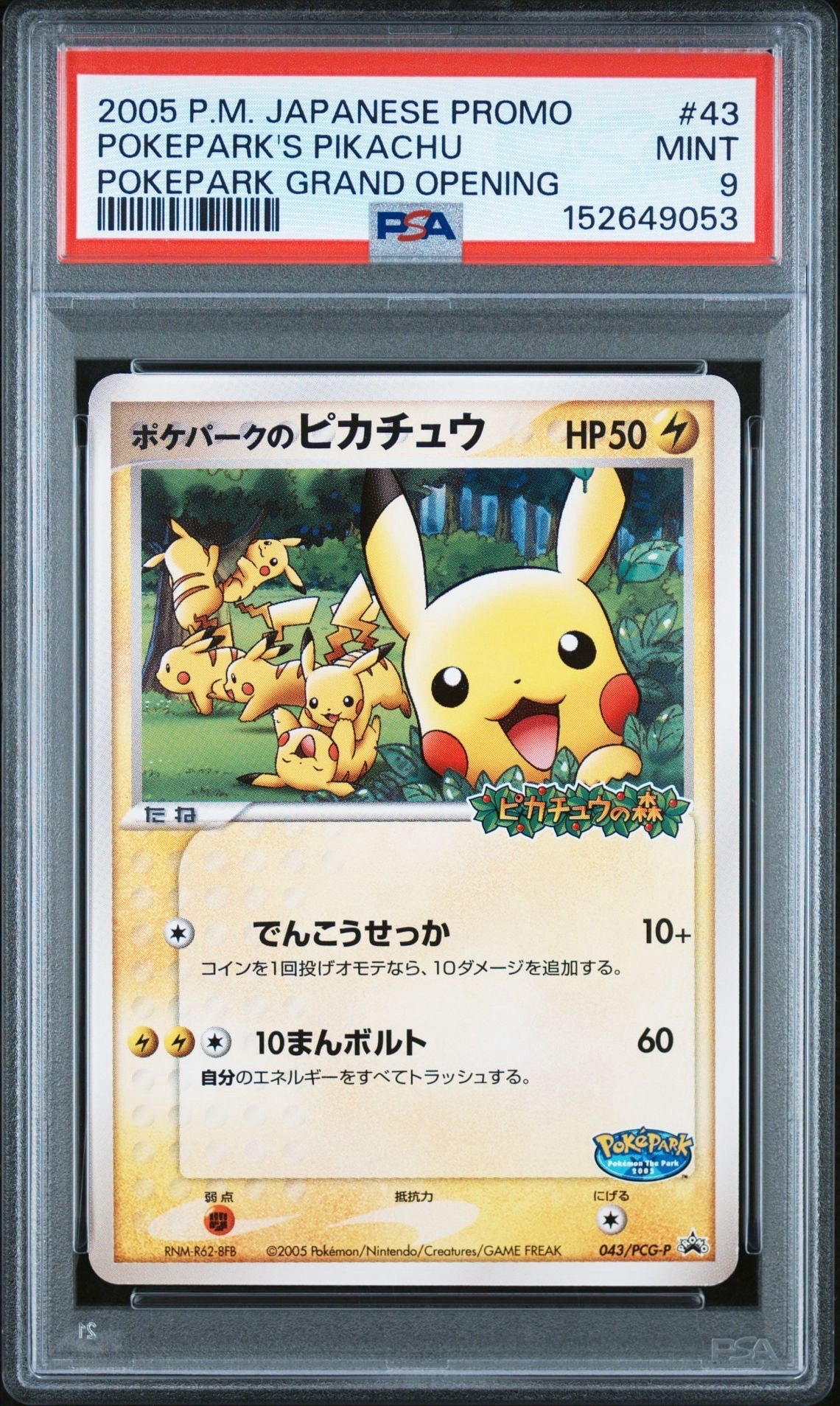 ポケパークのピカチュウ PROMO PCG-Pプロモカード 043/P ポケパークのピカチュウ PROMO PCG-Pプロモカード 043/PCG-P - メルカリ