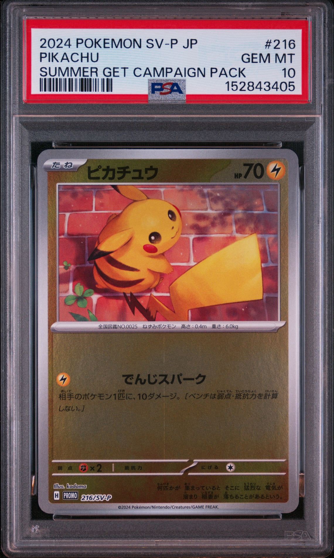 PSA10】ピカチュウ P [SV-P 216](プロモカードパック「ポケカの夏が