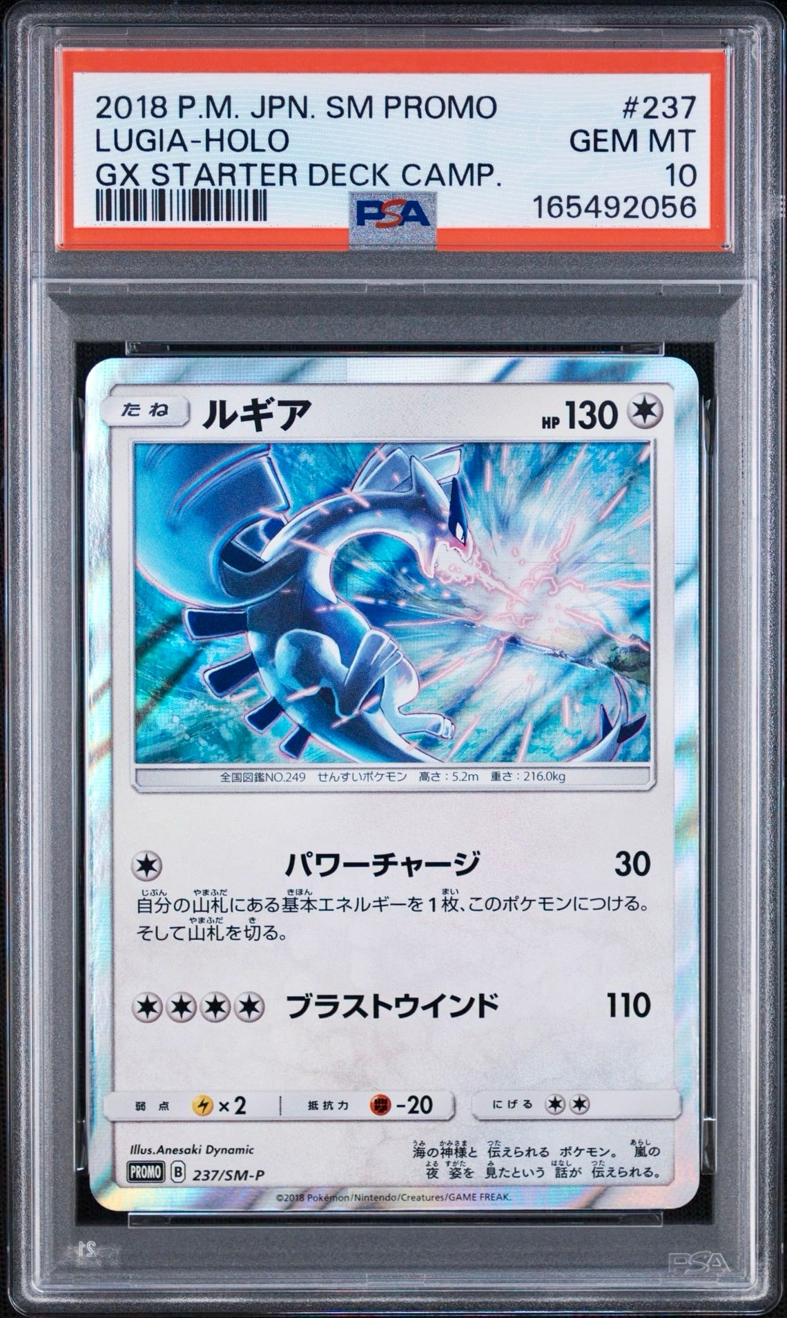 ルギア P [SM-P 237](GXスタートデッキ「Wルギアキャンペーン」)通販