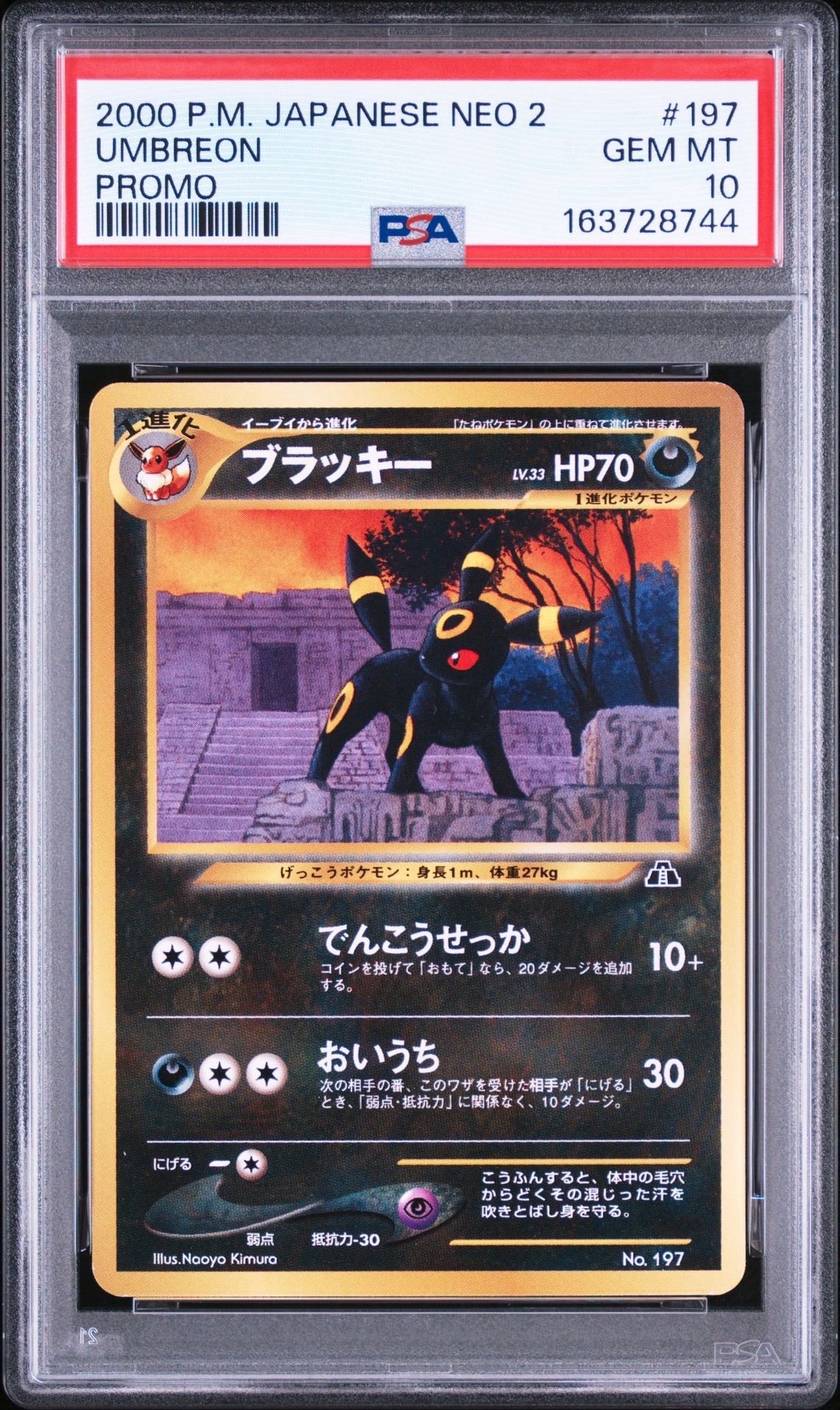 PSA10】ブラッキープレミアムファイル2: 旧裏[neoP2 No.197