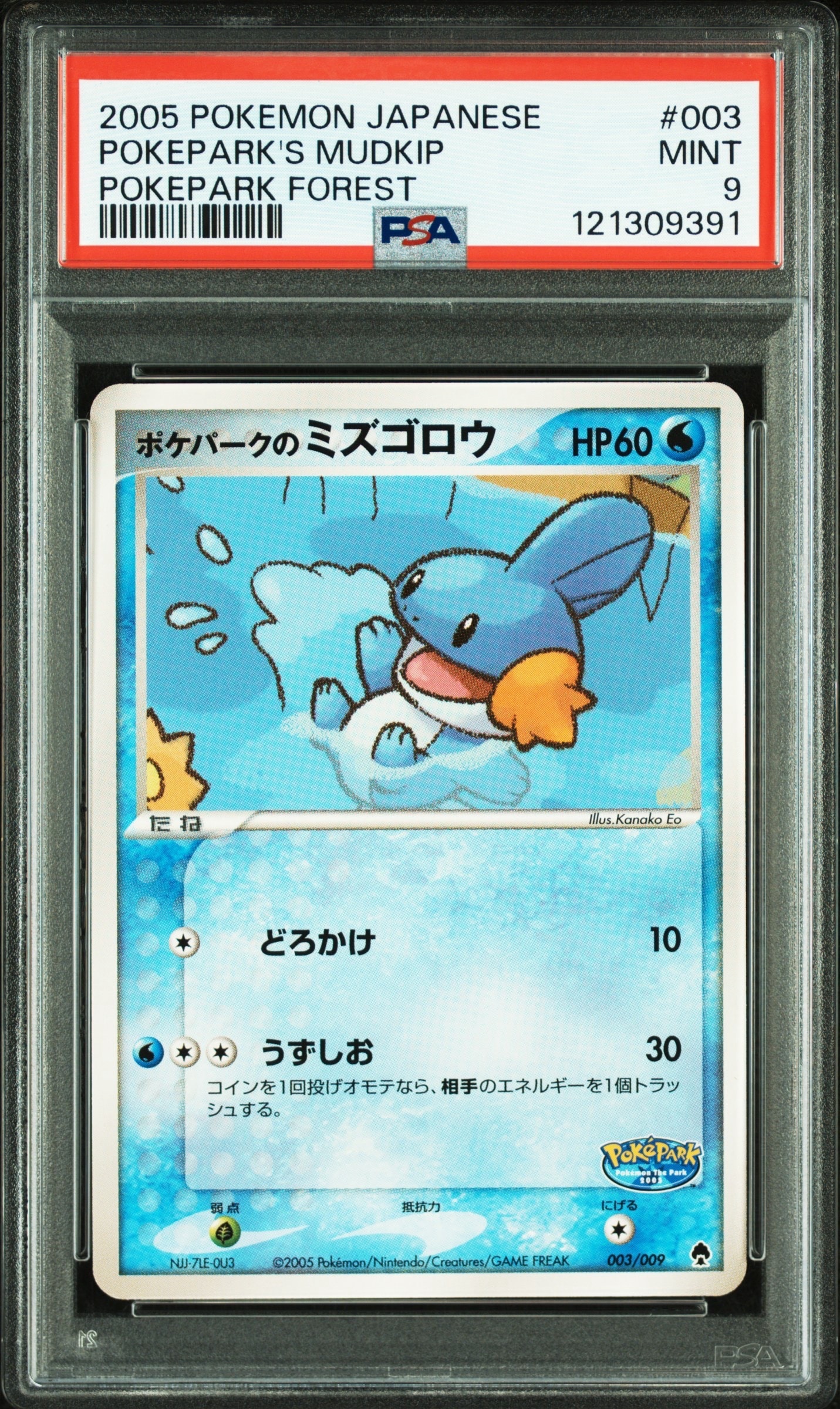 状態D】ポケパークのミズゴロウ [PCG 003/009](ポケパークプレミアム