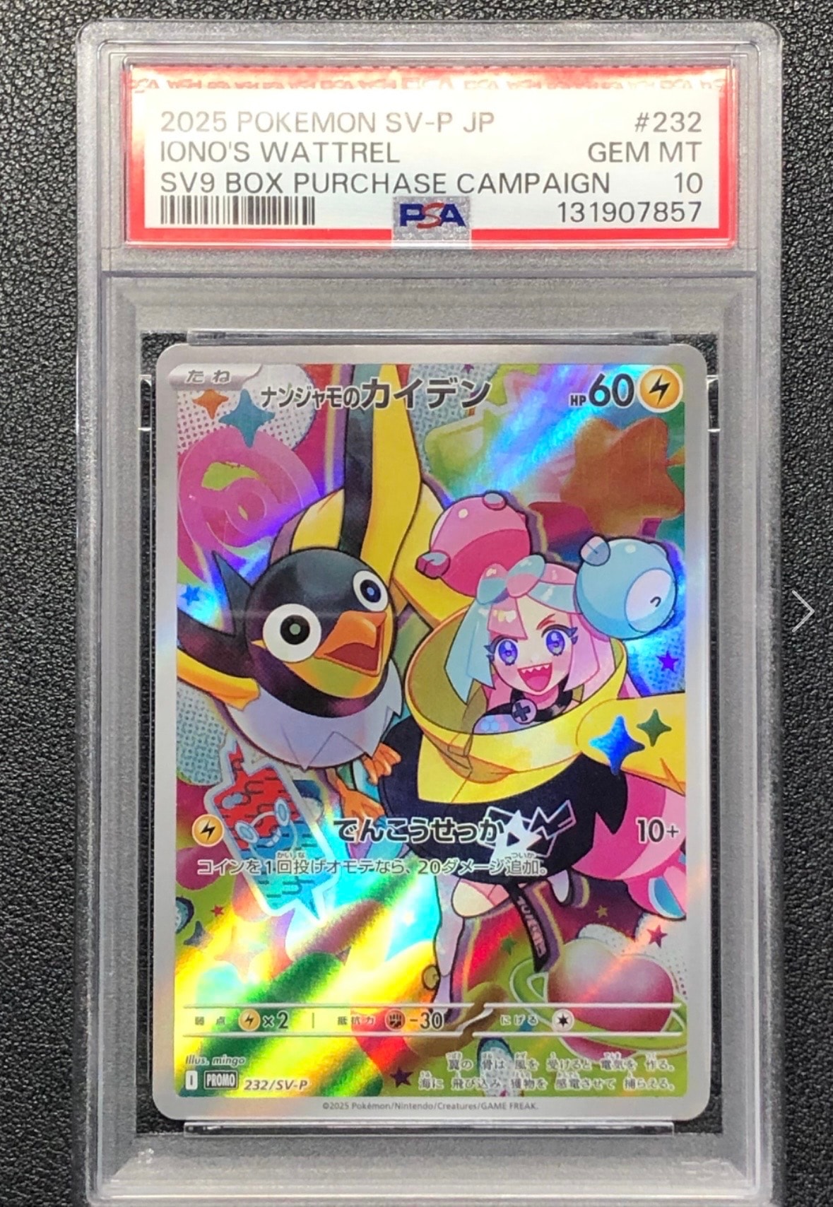 ナンジャモのカイデン P [SV-P 232](プロモーションカード「拡張パック バトルパートナーズ Box購入キャンペーン」)