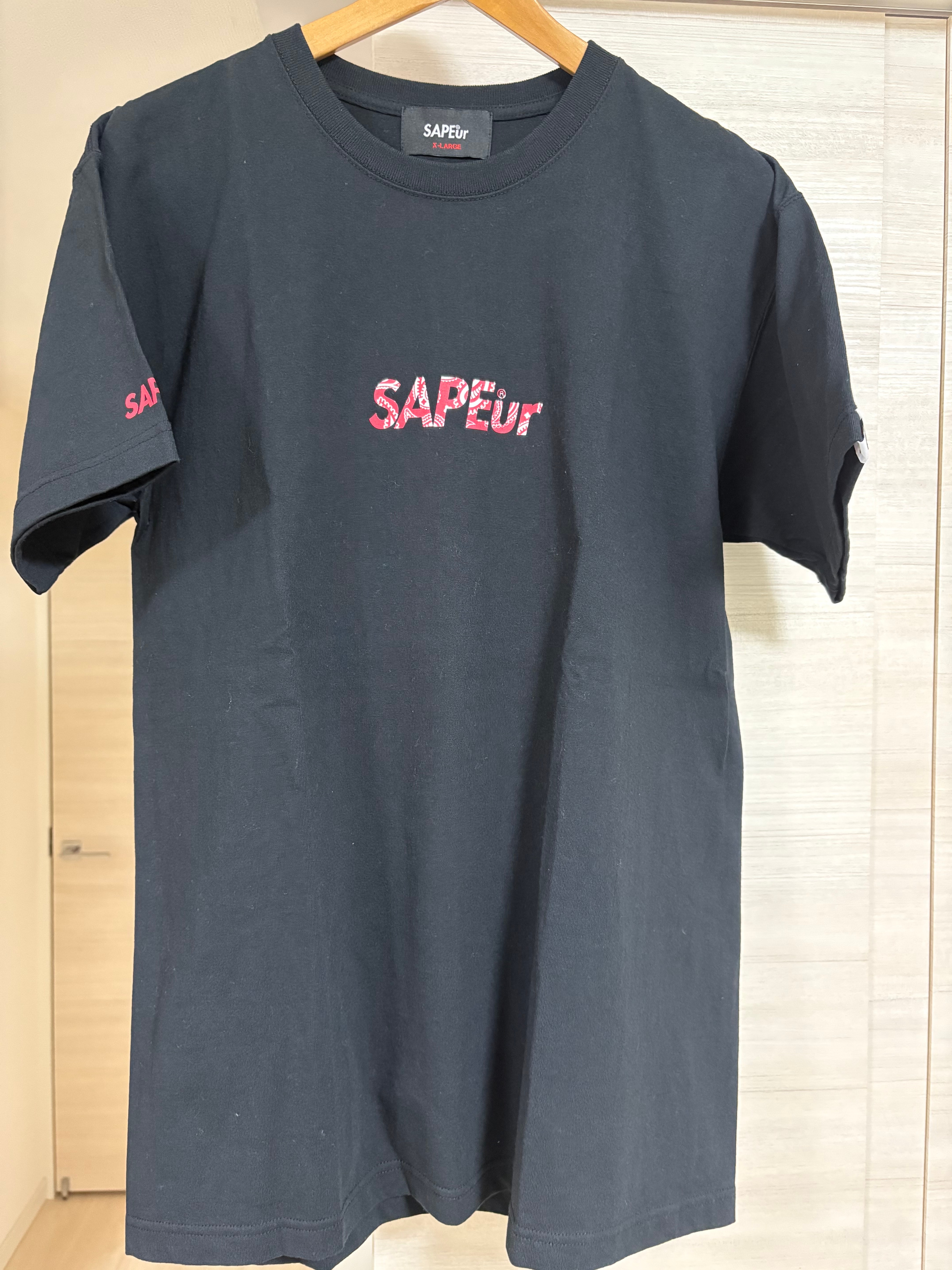 希少 5周年記念 ロッドマン TEE レッドペイズリーヘッド