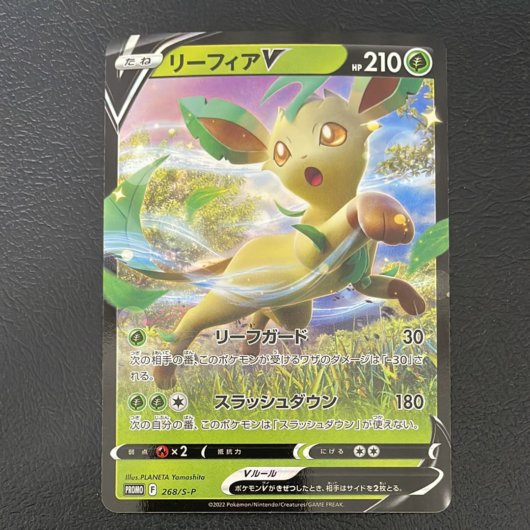 PSA10】マグマ団のグラードン: プロモ [S8a-P 011/025](プロモカード