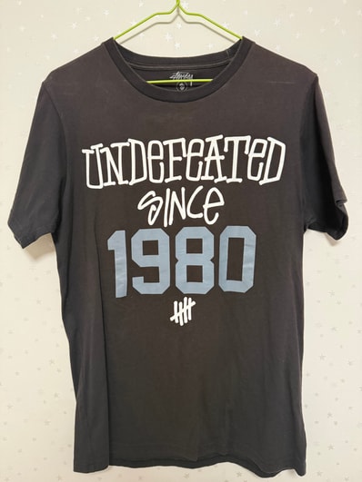 stussy × UNDEFEATED