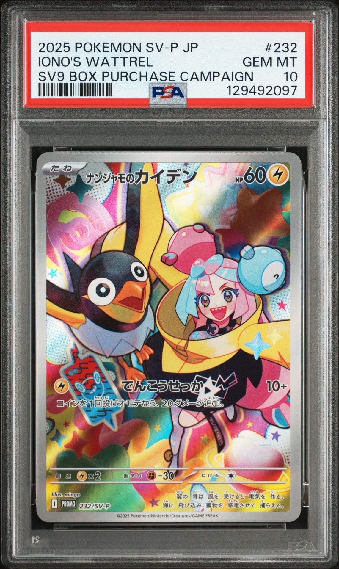 ナンジャモのカイデン P [SV-P 232](プロモーションカード「拡張パック バトルパートナーズ Box購入キャンペーン」)