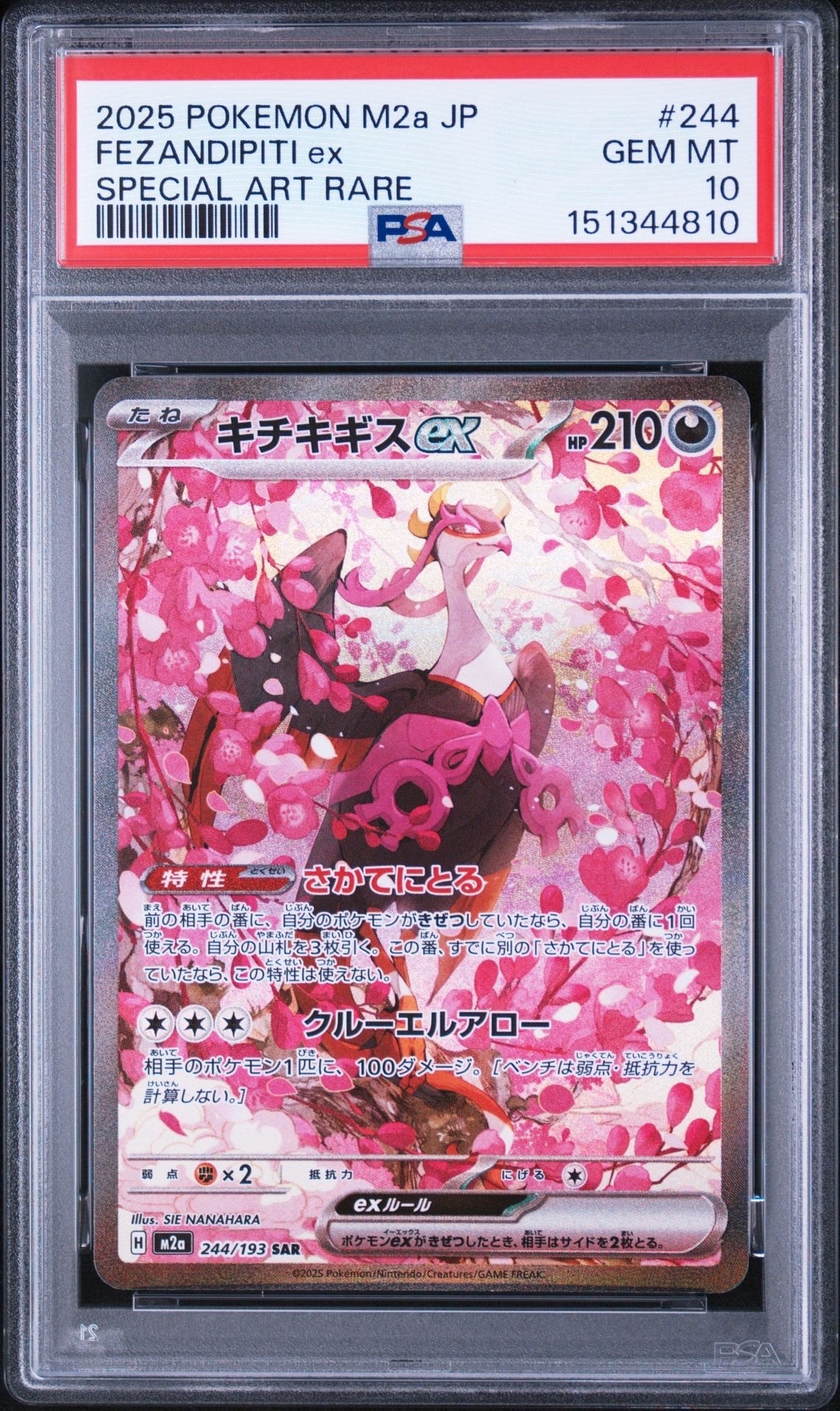 キチキギスex SAR [M2a 244/193](ハイクラスパック「MEGAドリームex