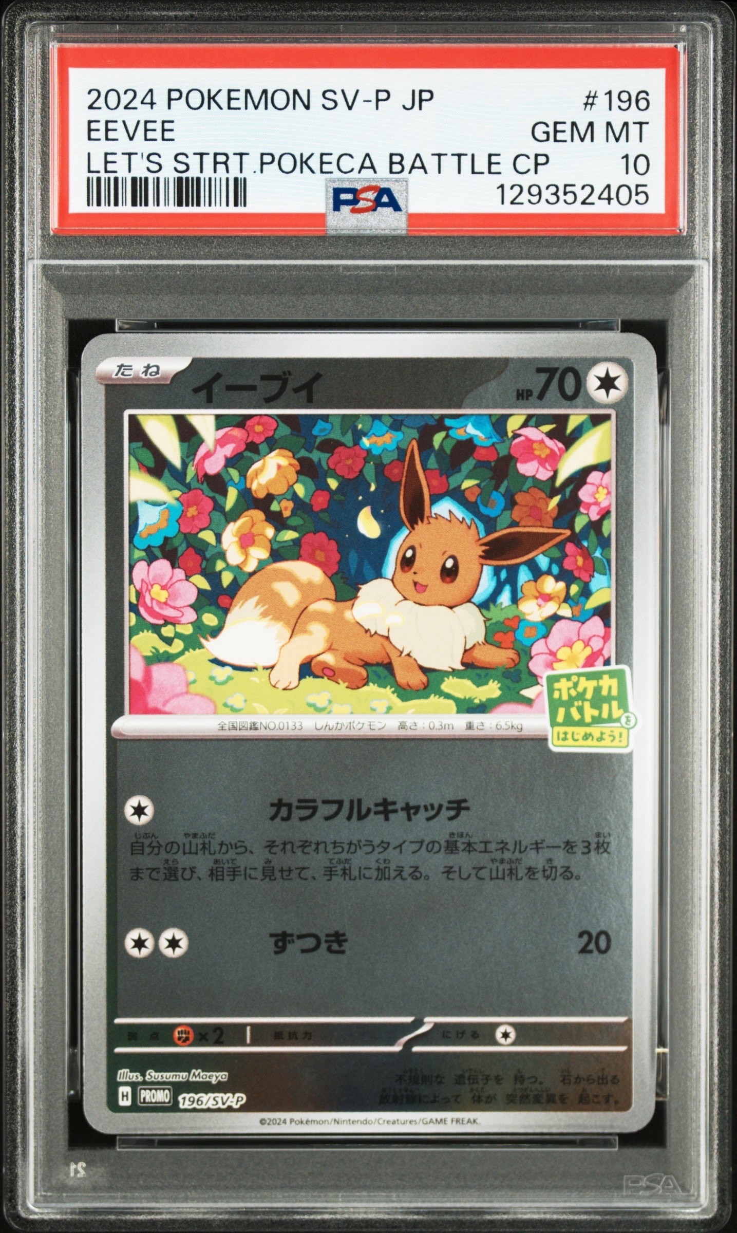 イーブイ P [SV-P-SM 196](プロモカードパック「ポケカバトルをはじめよう!キャンペーン」)