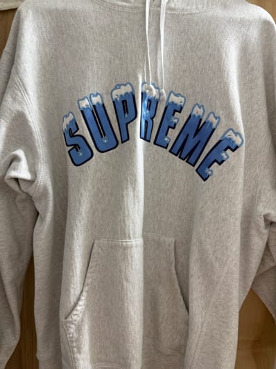 Supreme Icy Arc Hooded Sweatshirt "Ash Grey"