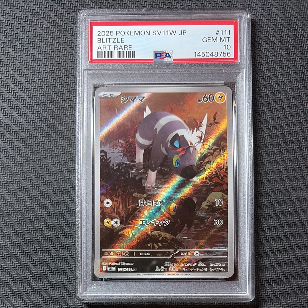 シママ AR [SV11W 111/086](拡張パック「ホワイトフレア」)