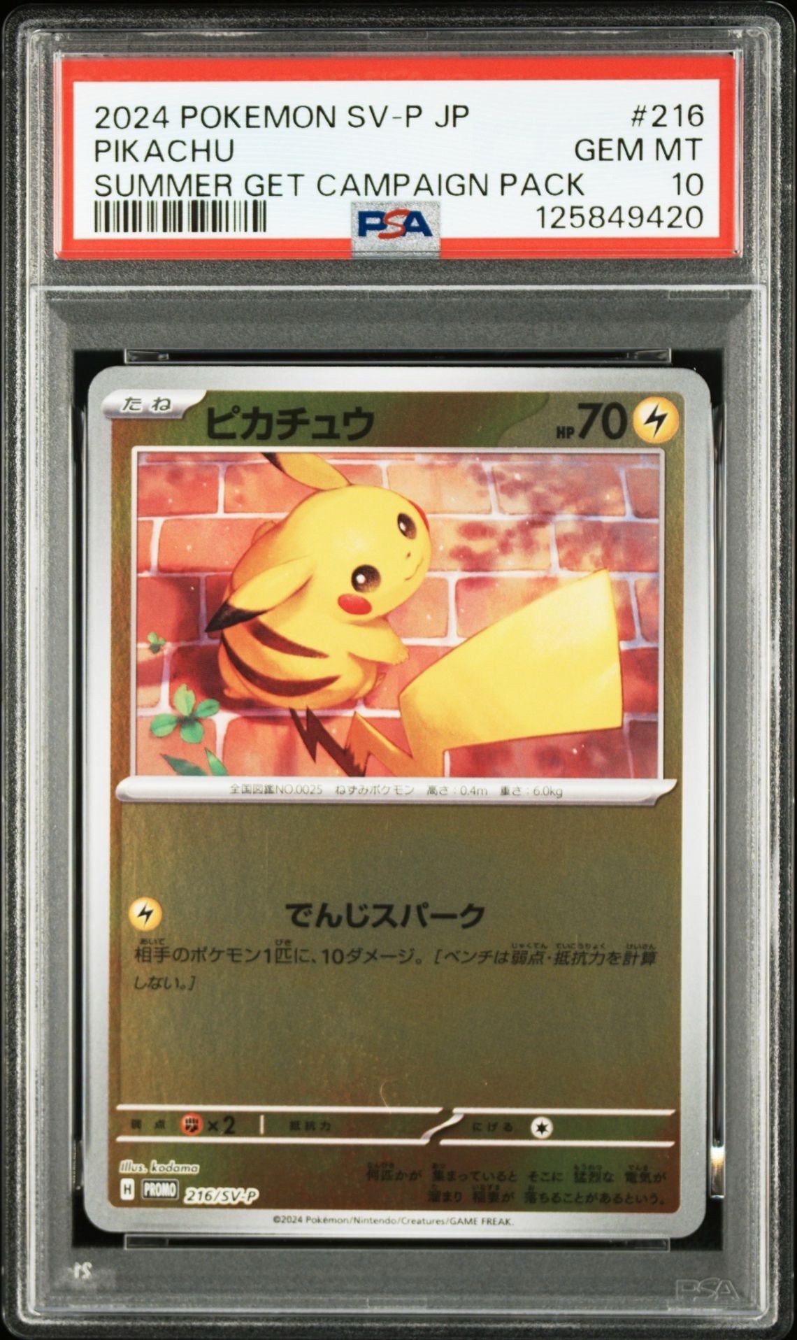 ピカチュウ P [SV-P 216](プロモカードパック「ポケカの夏がキタ!プロモカードGetキャンペーン!」)