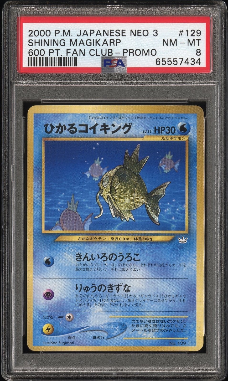 ひかるコイキング P : 旧裏 [neo-P](プロモーションカード「ポケモン