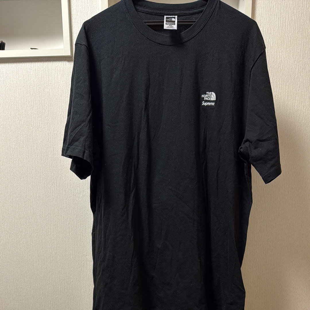 Supreme x The North Face Bandana Tee 