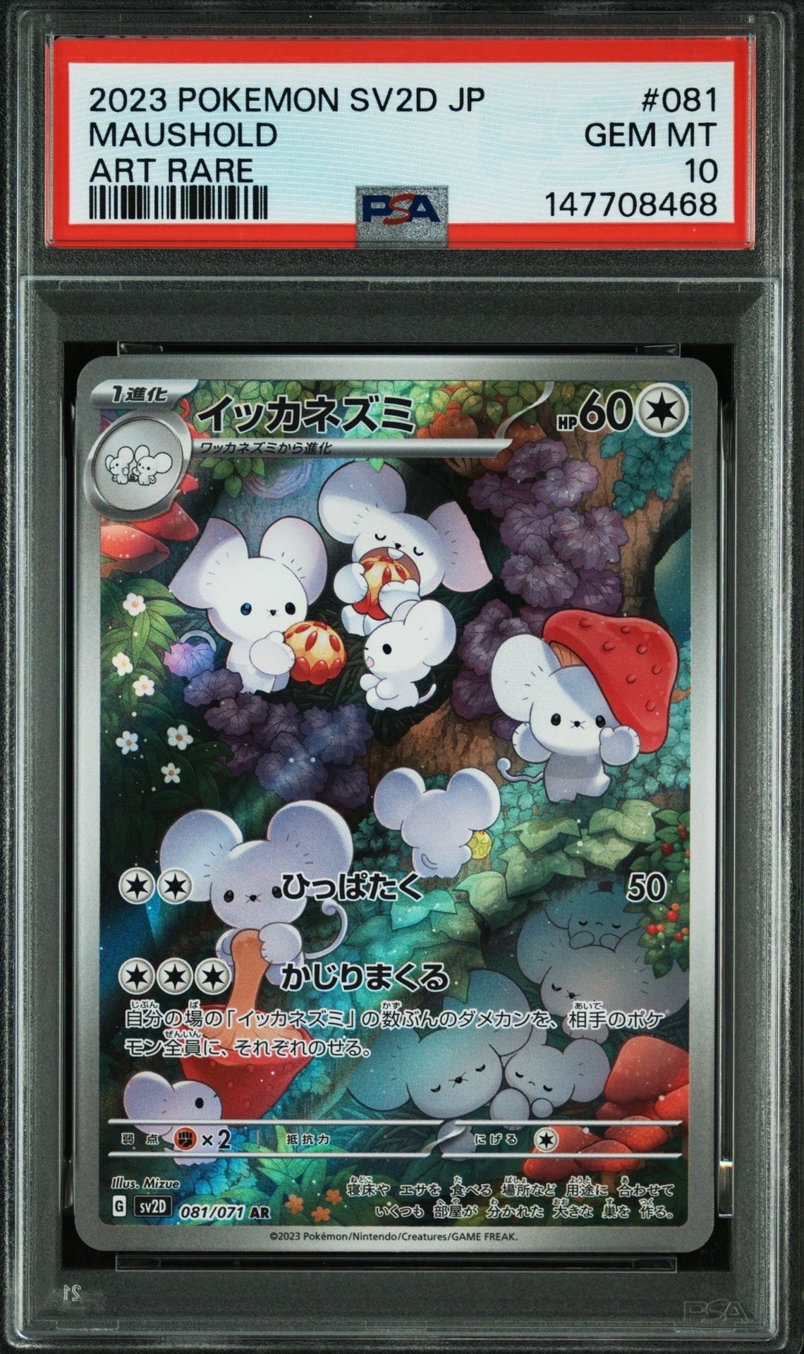 イッカネズミ AR[SV2D 081/071](拡張パック「クレイバースト」)の新品