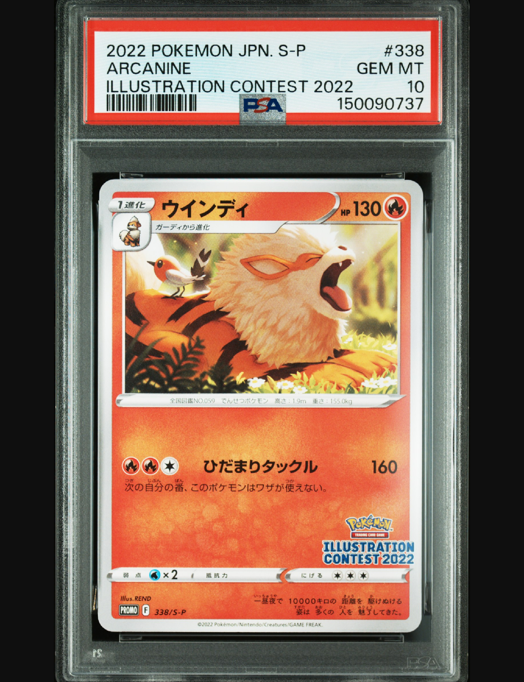 ウインディ プロモ[PROMO338 S-P](プロモーションカード「ポケモンセンター・ポケモンストア」) ウインディ プロモ[PROMO338 S-P](プロモーションカード「ポケモン