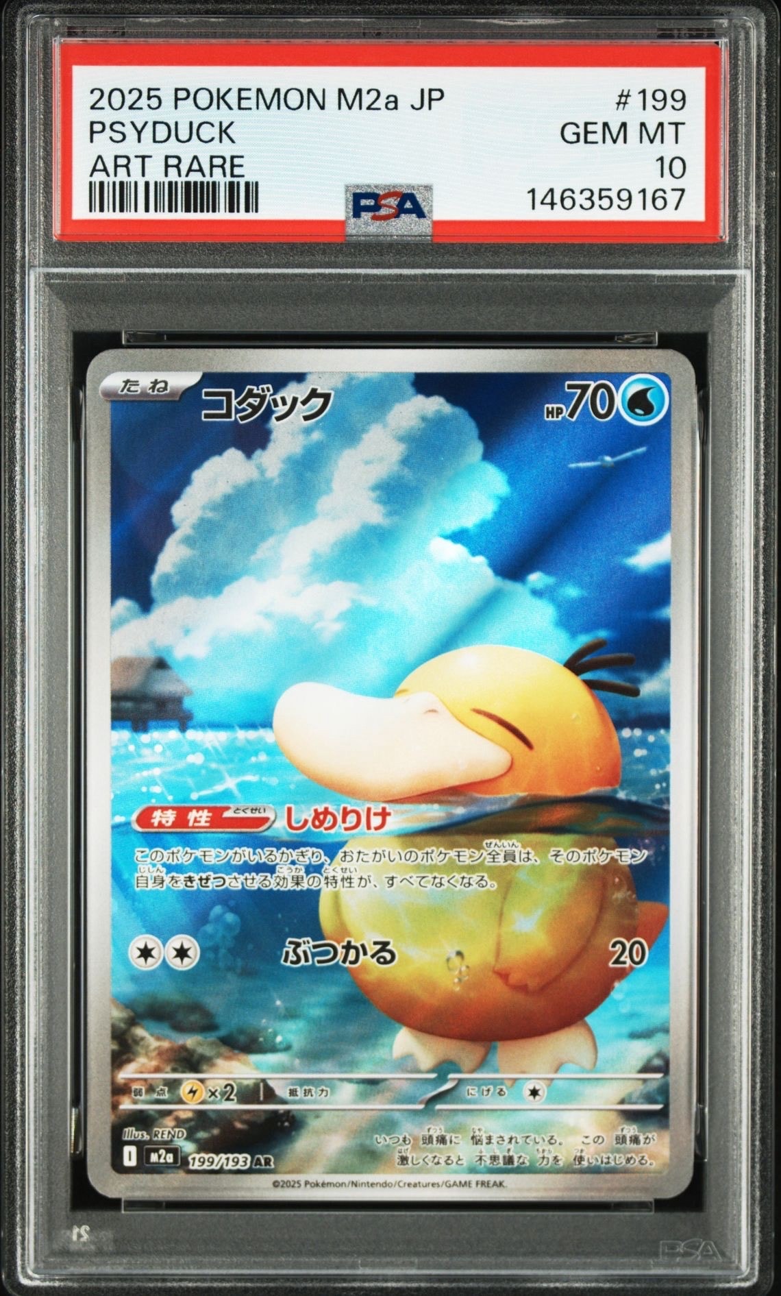 コダック AR [M2a 199/193](ハイクラスパック「MEGAドリームex」)