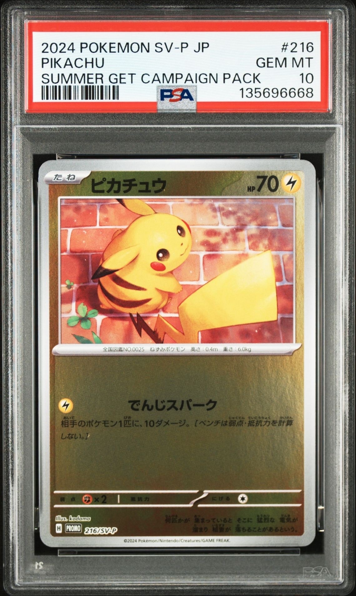 ピカチュウ P [SV-P 216](プロモカードパック「ポケカの夏がキタ!プロモカードGetキャンペーン!」)