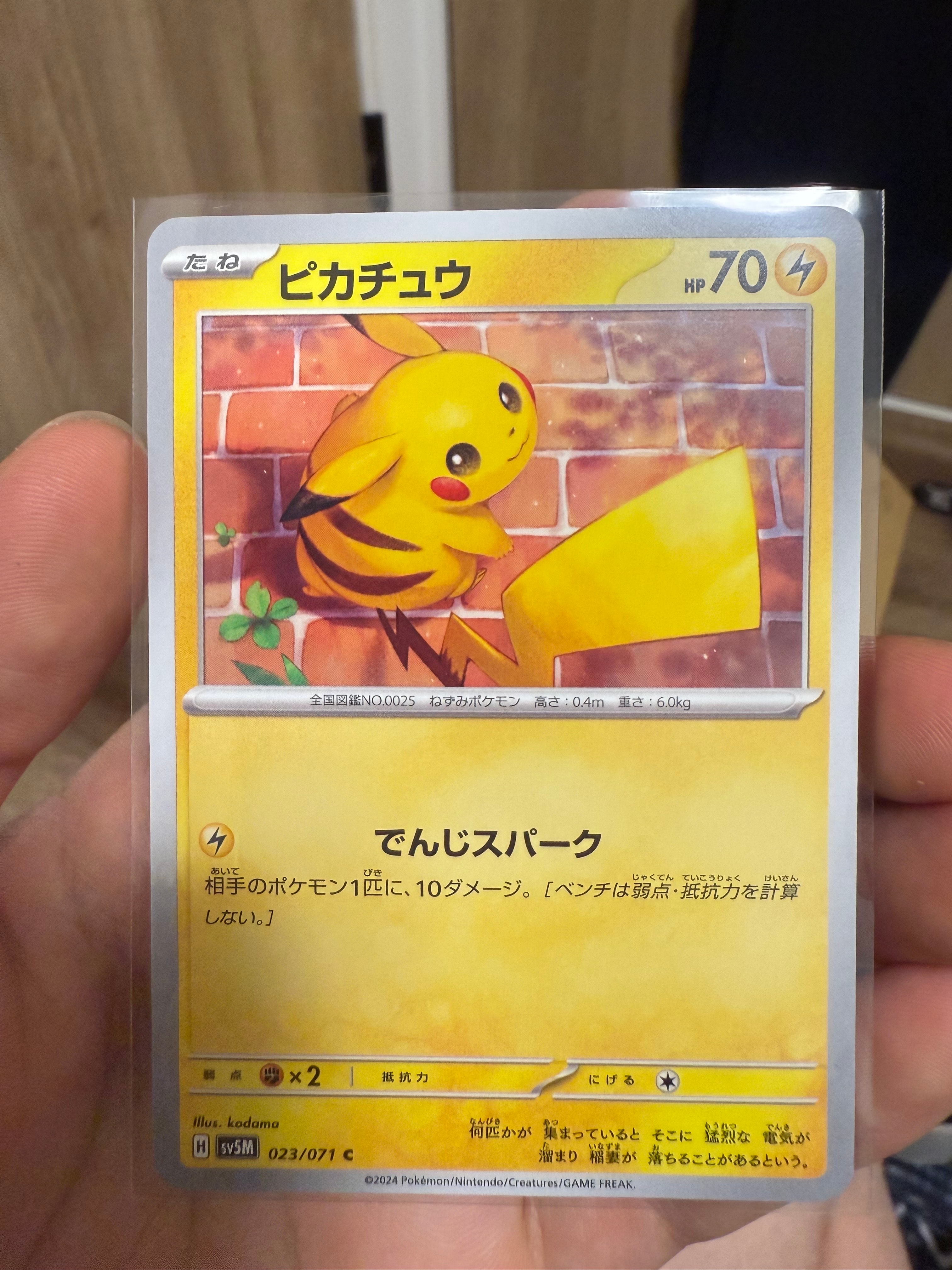 ピカチュウ P [SV-P 216](プロモカードパック「ポケカの夏がキタ!プロモカードGetキャンペーン!」)