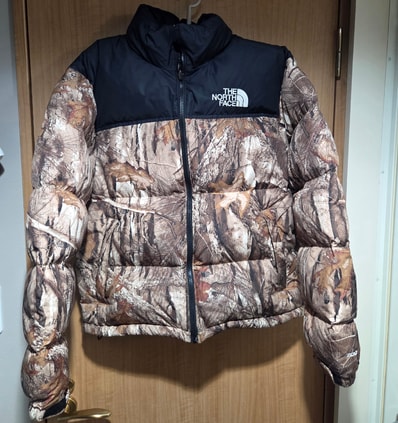 The North Face 1996 RETRO NUPTSE PACKABLE JACKET Overseas ver. "Leaves"