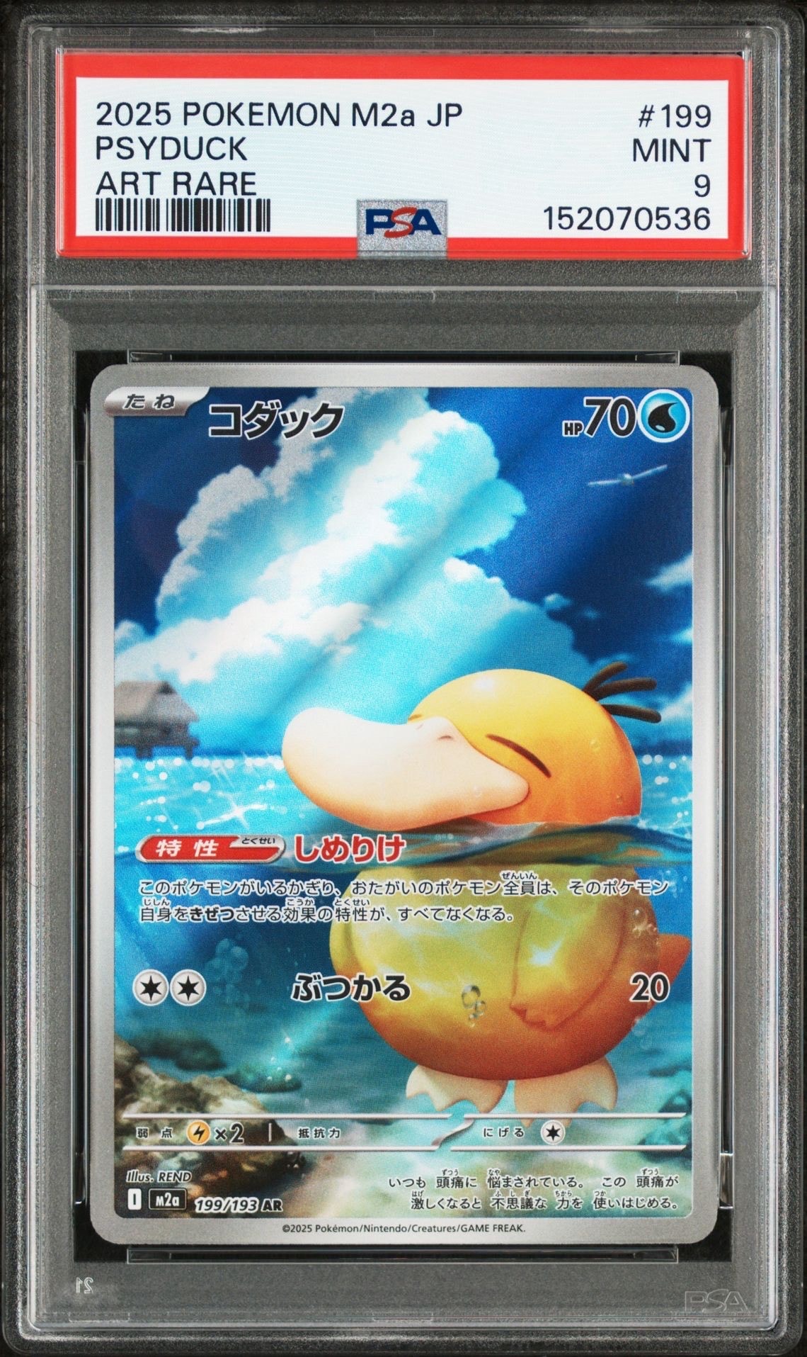 シロナの想い :プロモ (バトルロード スプリング☆2008)の新品/中古
