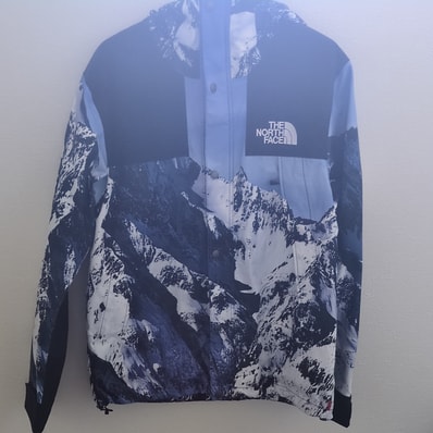 Supreme x The North Face Mountain Parka "Blue"