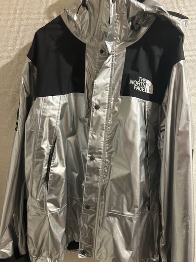 Supreme x The North Face Metallic Mountain Parka "Silver"