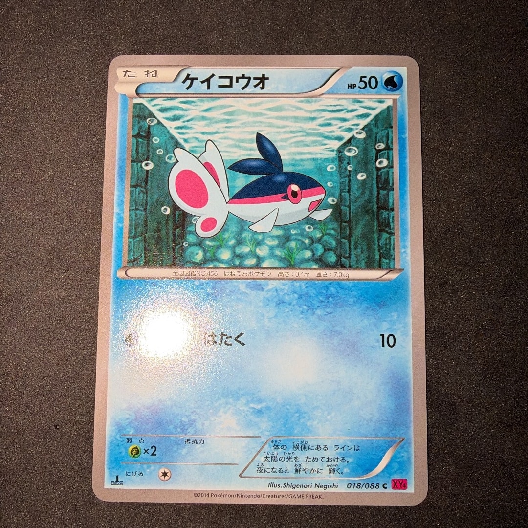 ケイコウオ C :1ED [XY4 018/088](拡張パック「ファントムゲート」)
