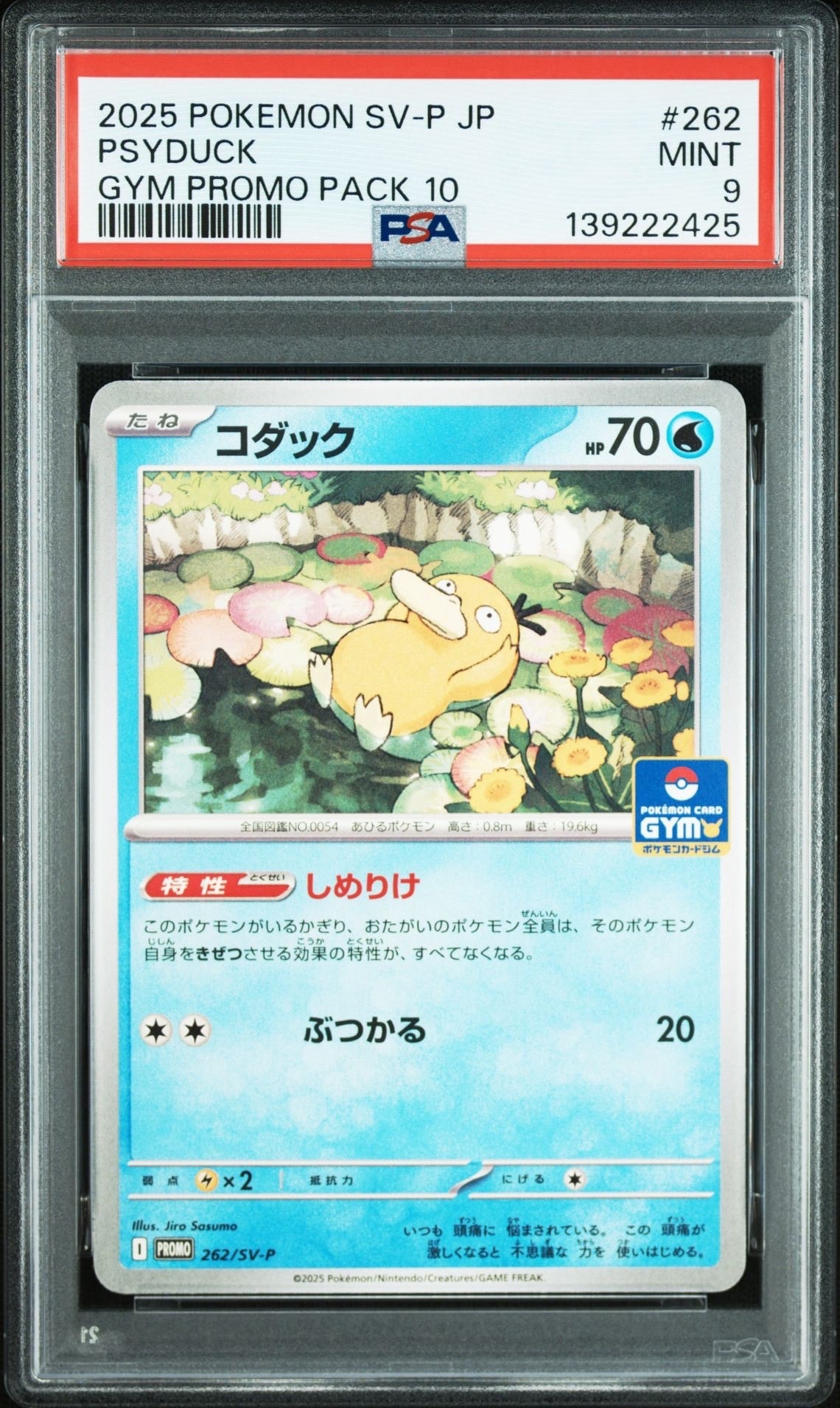 コダック P [SV-P 262](プロモカードパック「第10弾」)