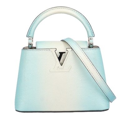 ルイヴィトン カプシーヌMINI ショルダーバッグ リザード ブルー レディース LOUIS VUITTON 中古