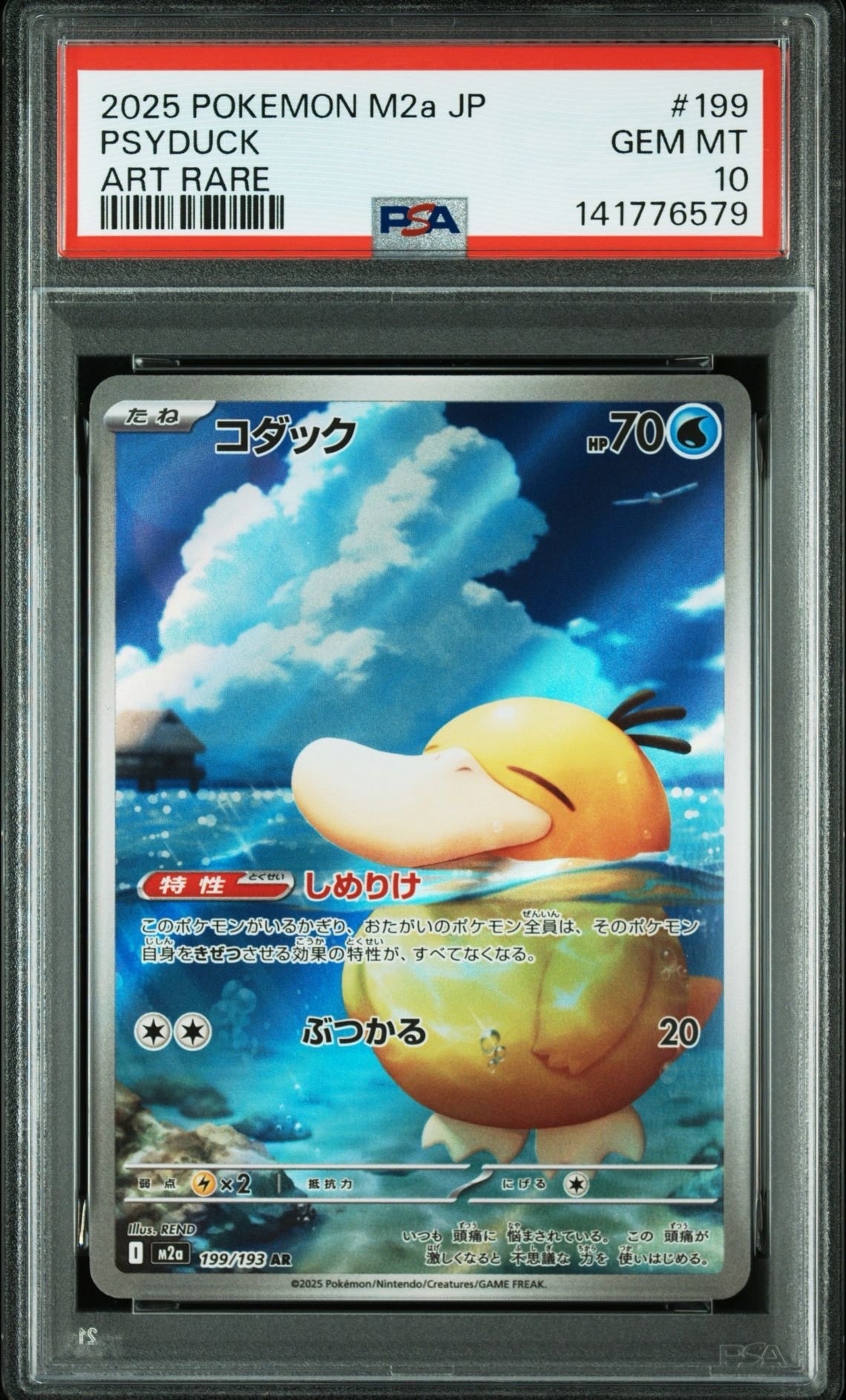 コダック AR [M2a 199/193](ハイクラスパック「MEGAドリームex」)