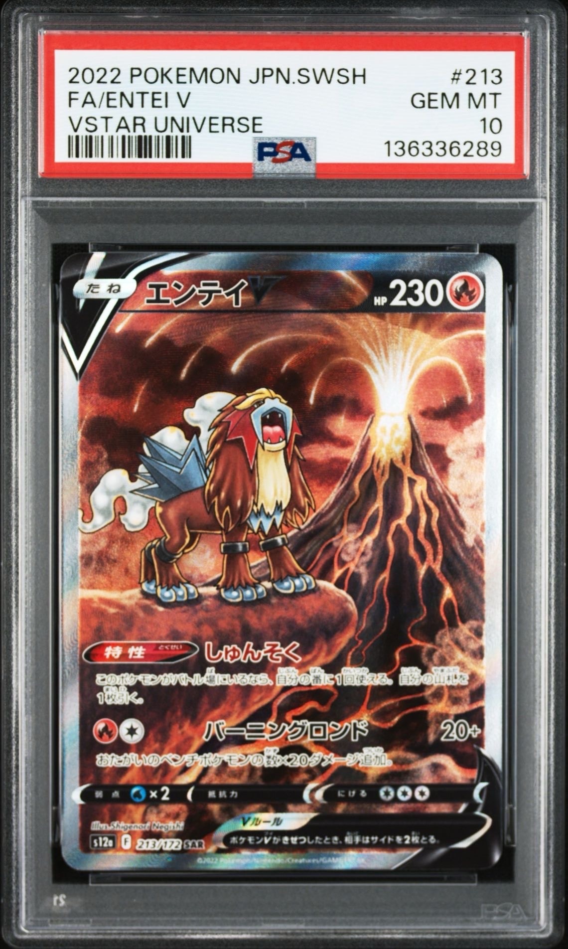 エンテイV SAR[s12a 213/172](ハイクラスパック「VSTARユニバース」)