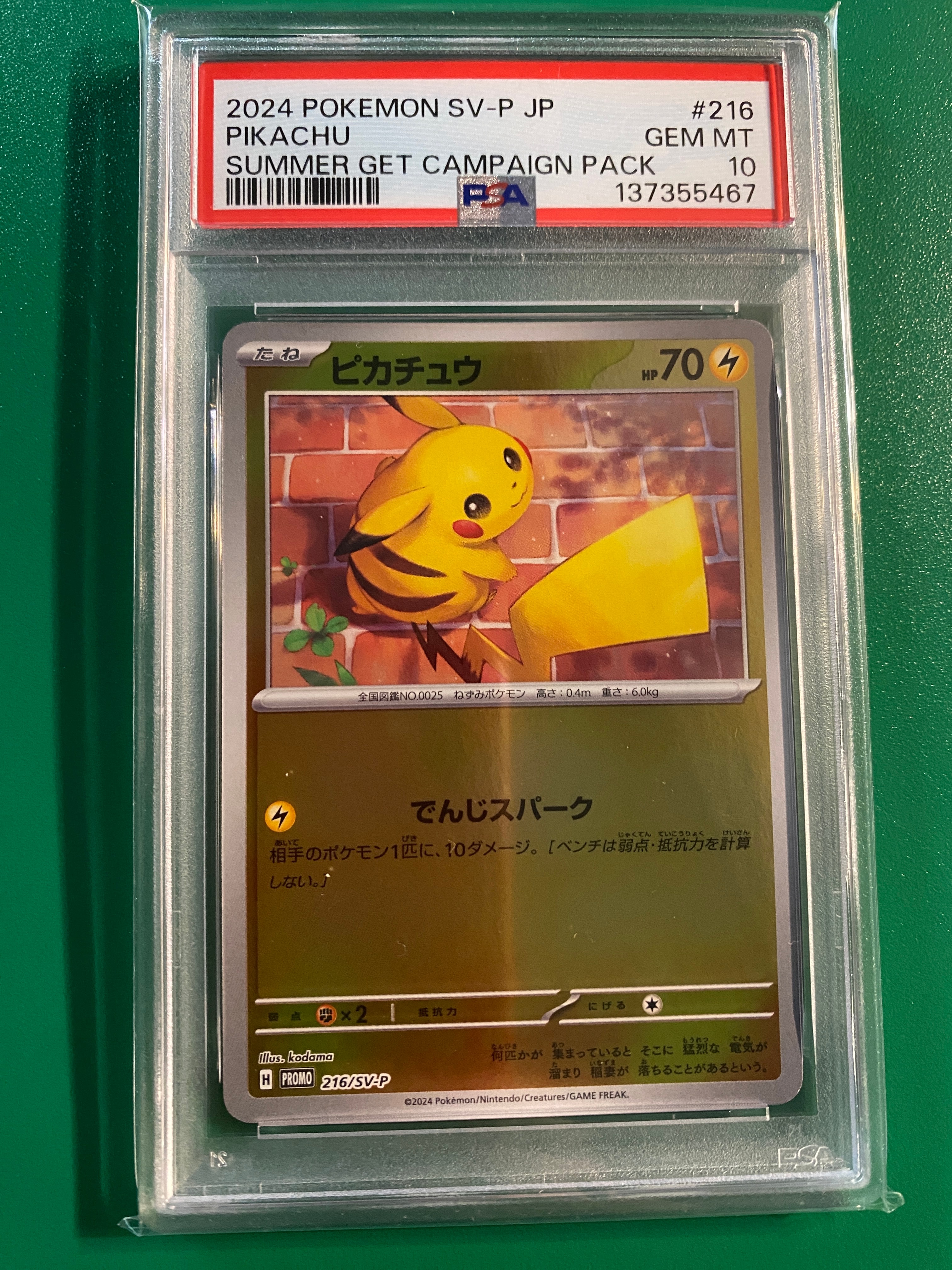 ピカチュウ P [SV-P 216](プロモカードパック「ポケカの夏がキタ!プロモカードGetキャンペーン!」)