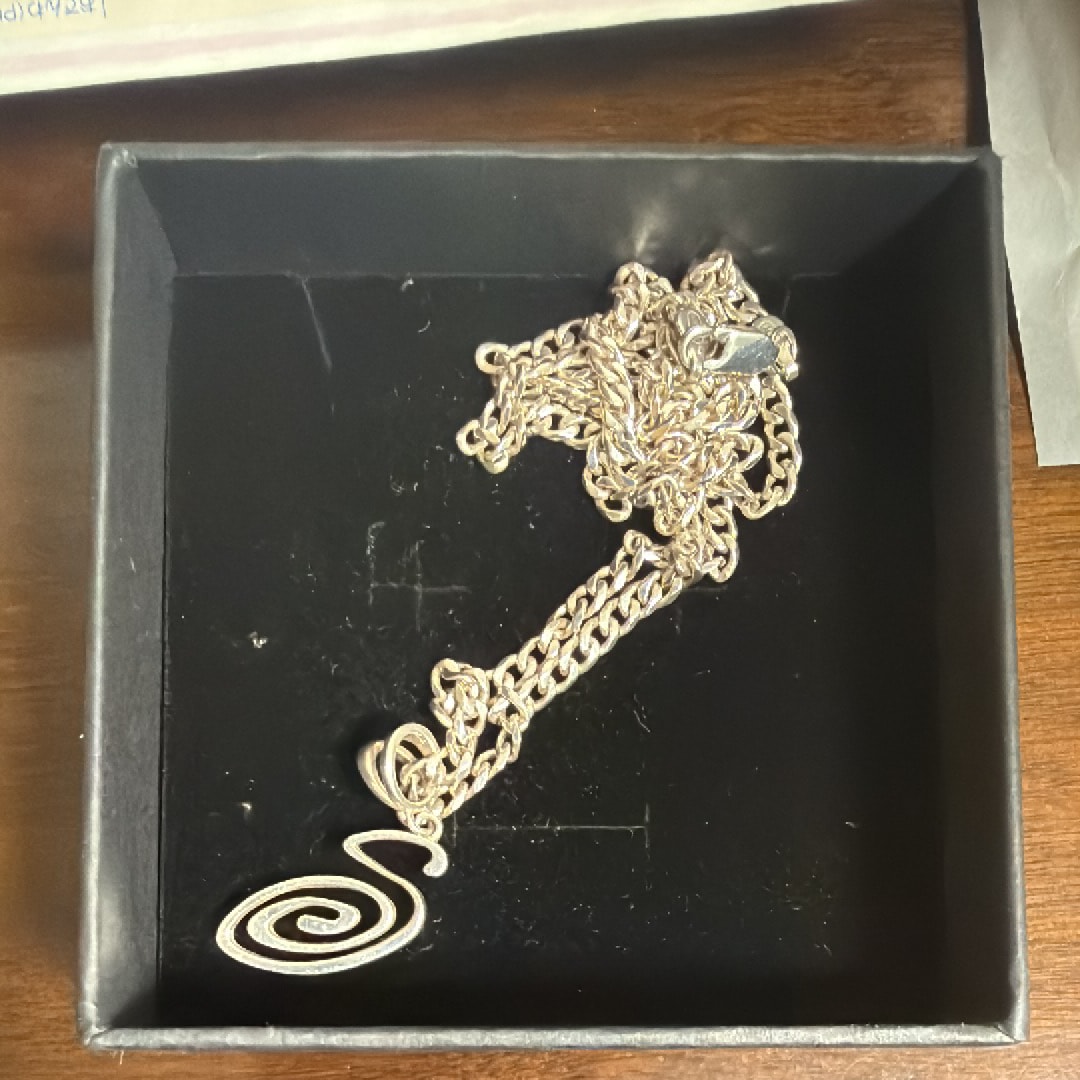 Stussy Spring 24 Jewelry Swirly S Chain Necklace 