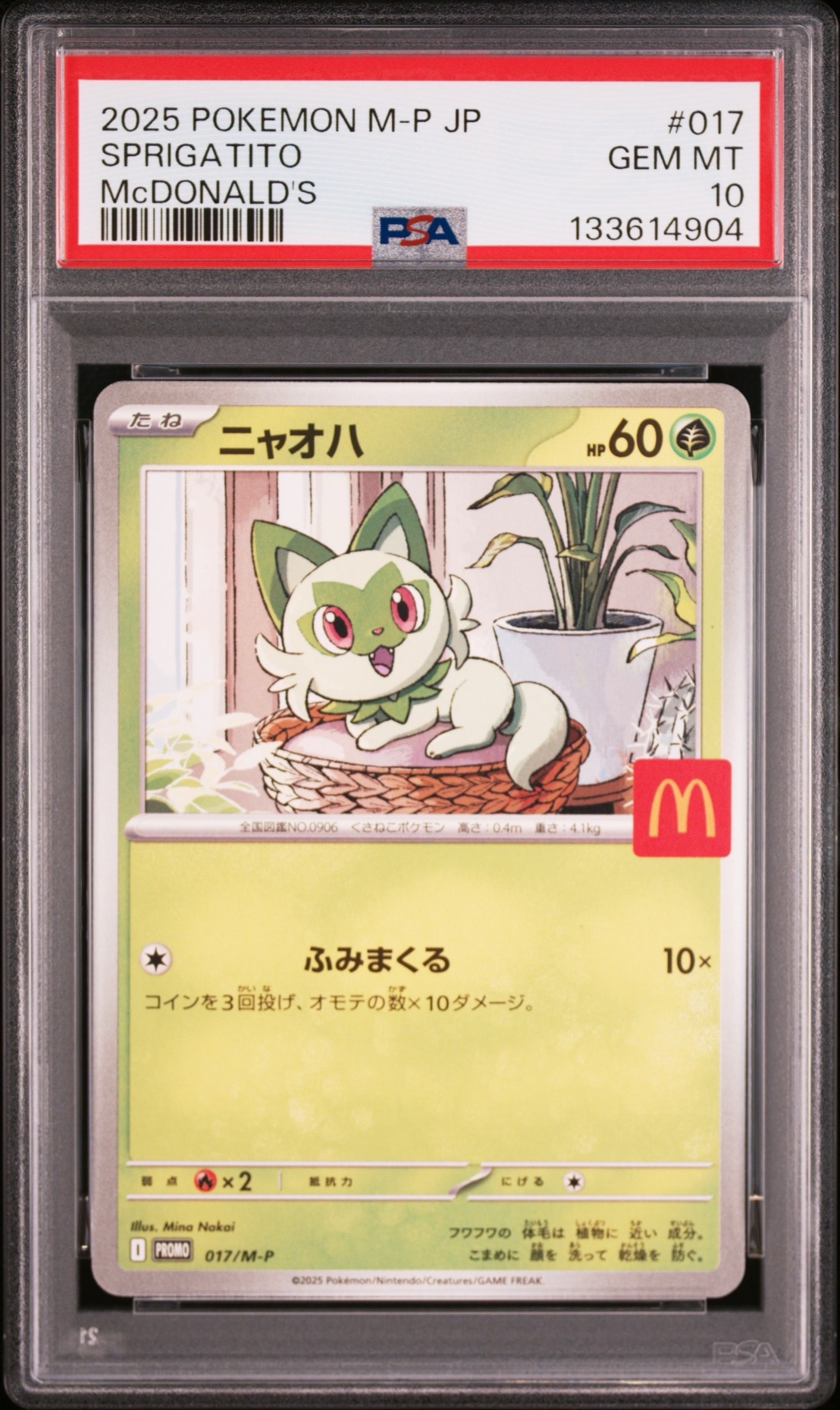PSA10】ポケパークのアチャモ P [PCG-P 047](プロモーションカード