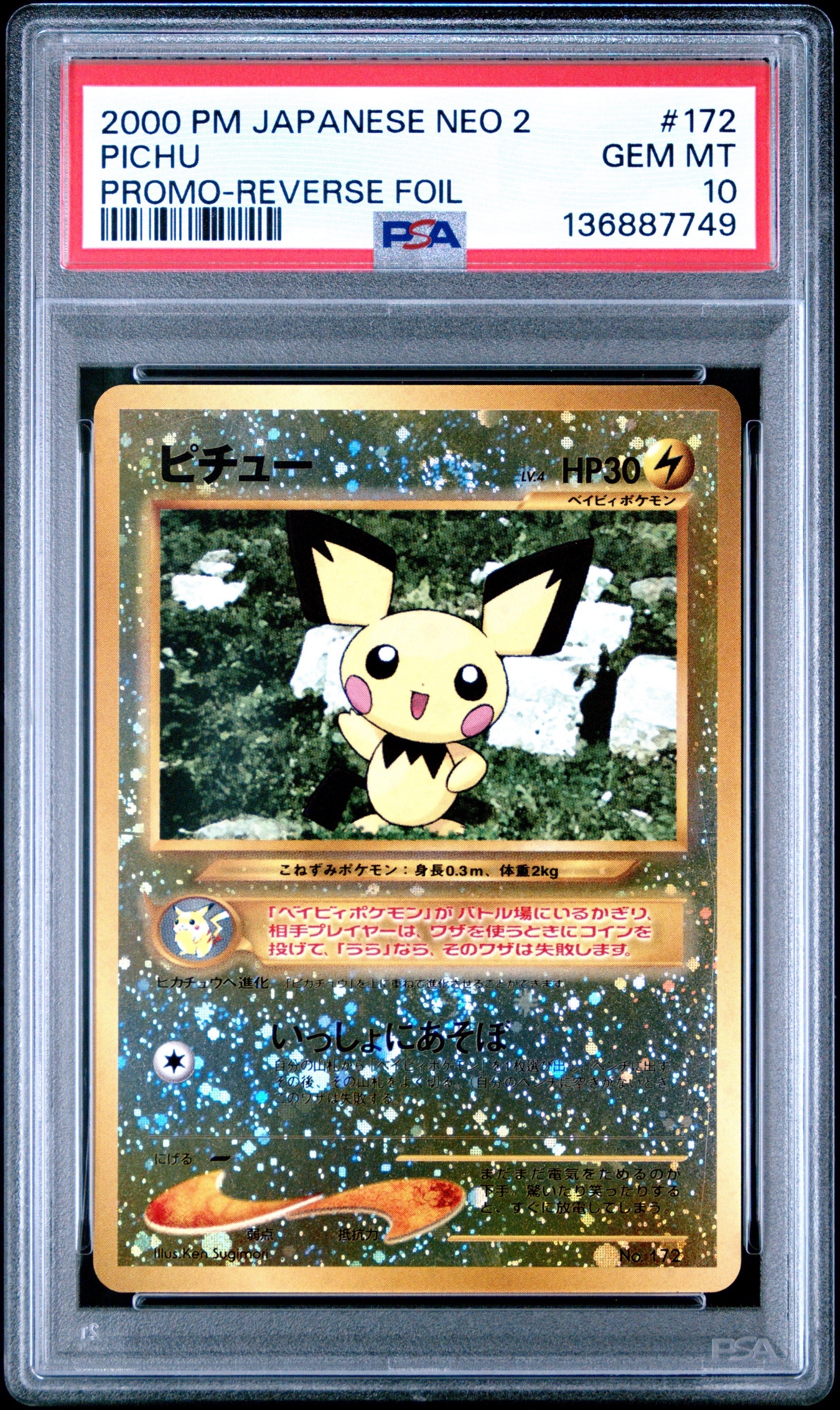 ピチュープレミアムファイル2: 旧裏[neoP2 No.172](プレミアムファイル2)