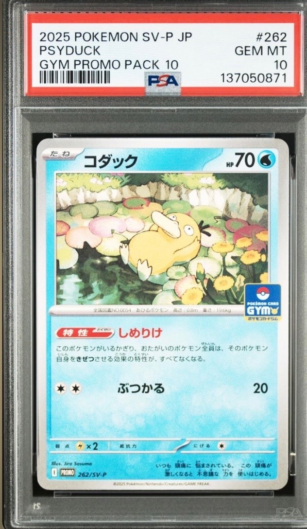 コダック P [SV-P 262](プロモカードパック「第10弾」)