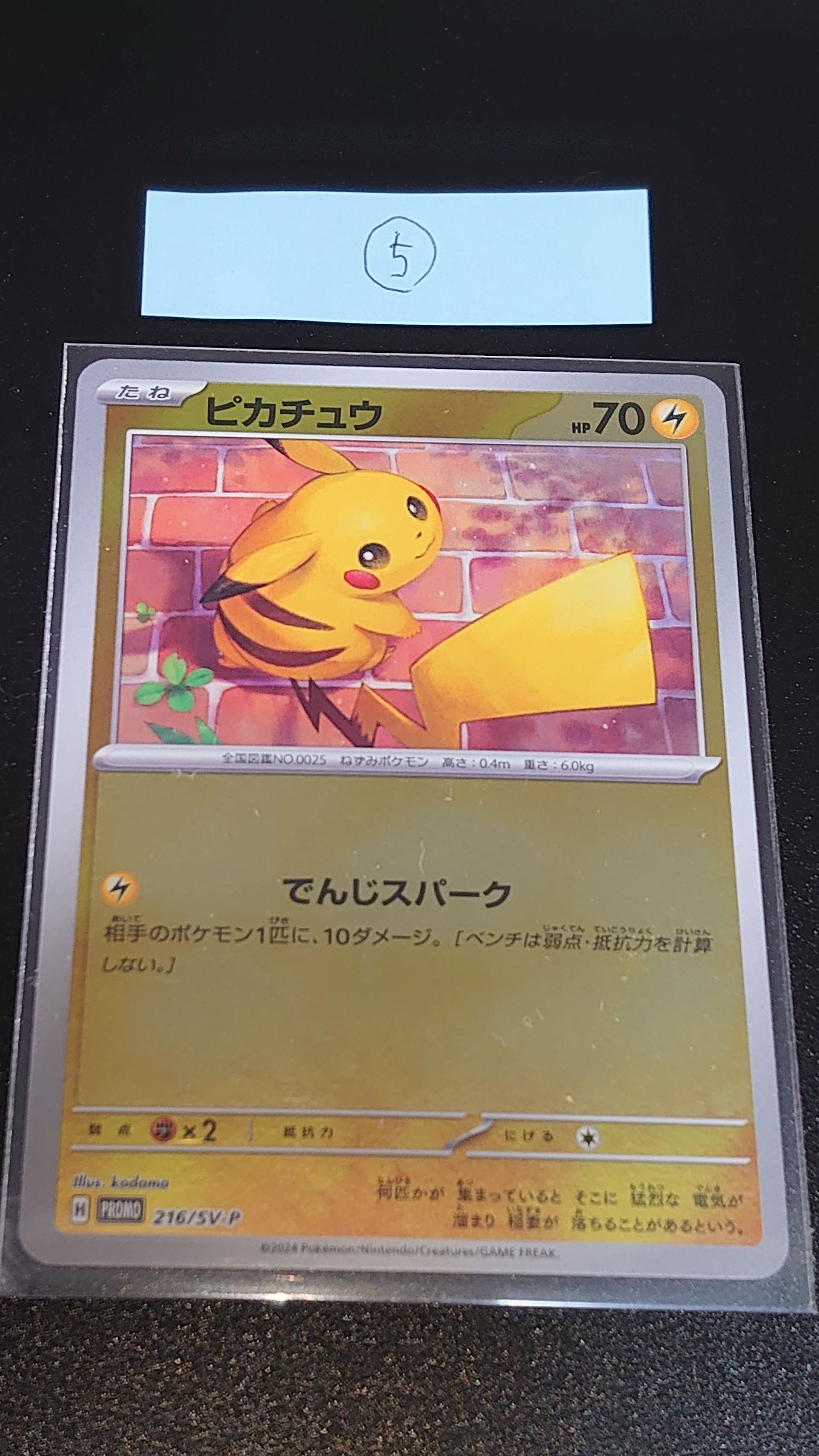 ピカチュウ P [SV-P 216](プロモカードパック「ポケカの夏がキタ!プロモカードGetキャンペーン!」)