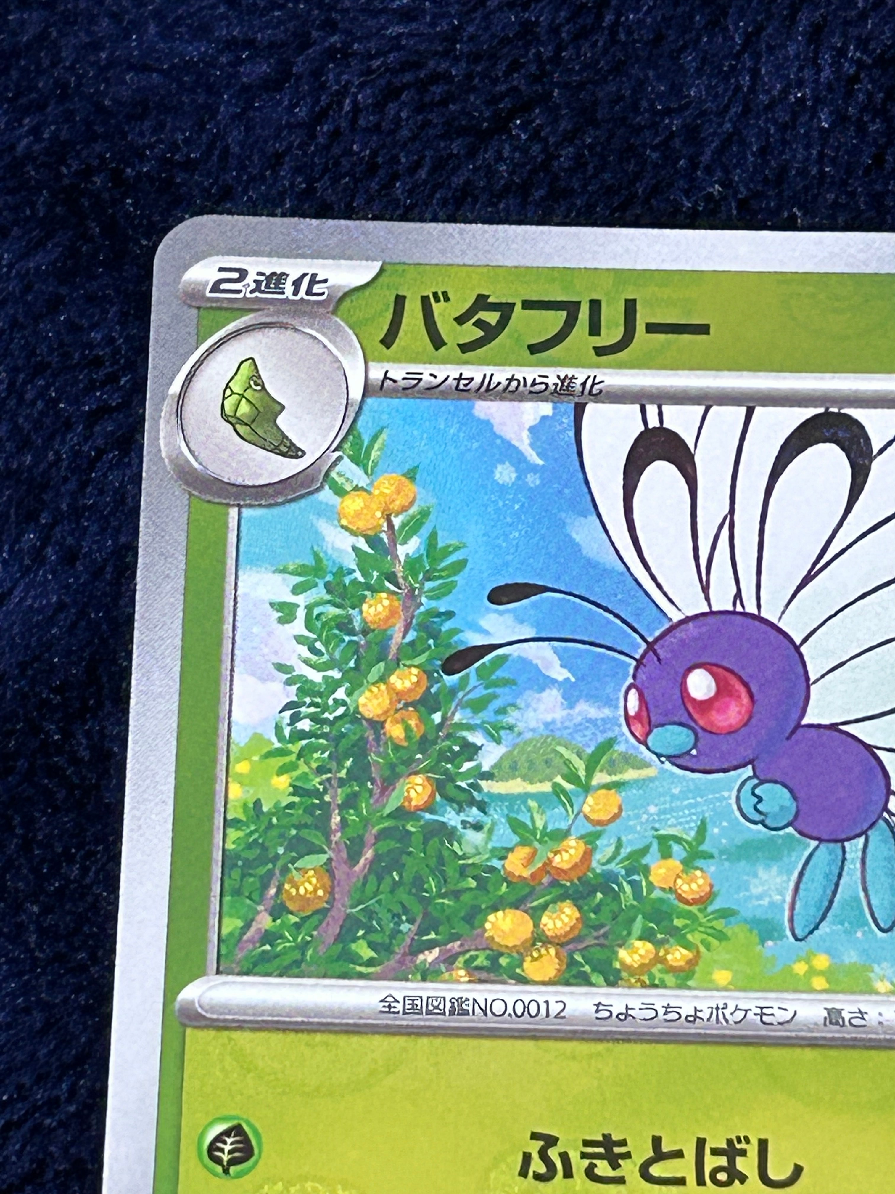 A]Butterfree U: Master Ball Mirror[SV2a 012/165](Enhanced Expansion Pack "Pokemon  Card 151") | SNKRDUNK