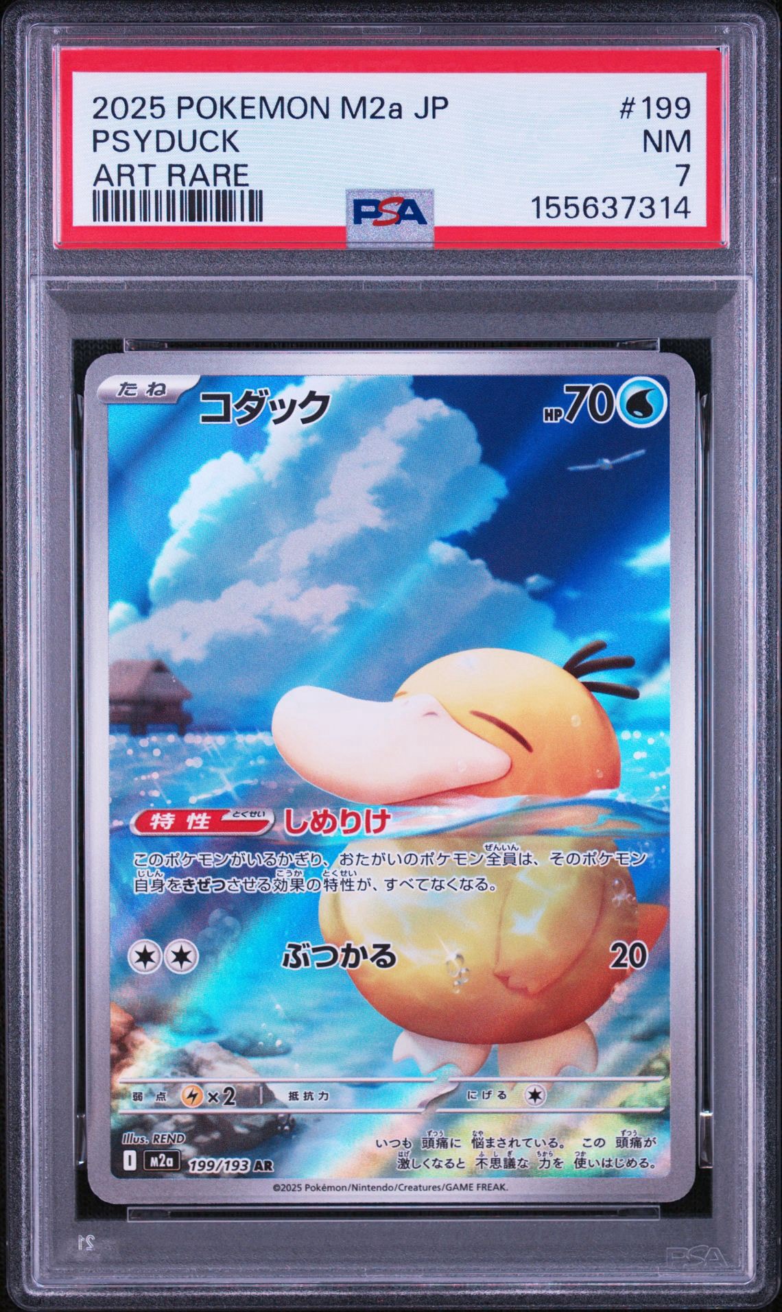 コダック AR [M2a 199/193](ハイクラスパック「MEGAドリームex」)