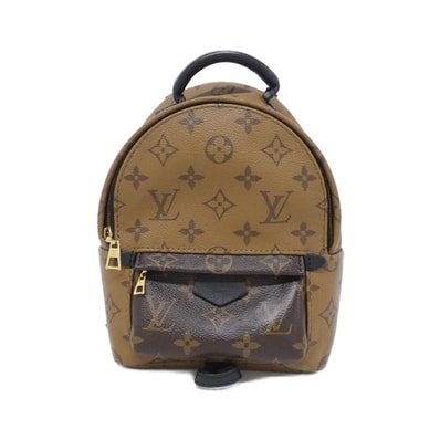 Louis Vuitton Monogram Reverse Palm Springs Mini