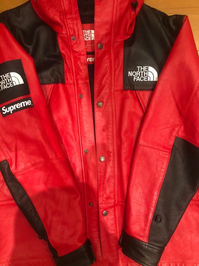 Supreme x The North Face Leather Mountain Parka "Red"
