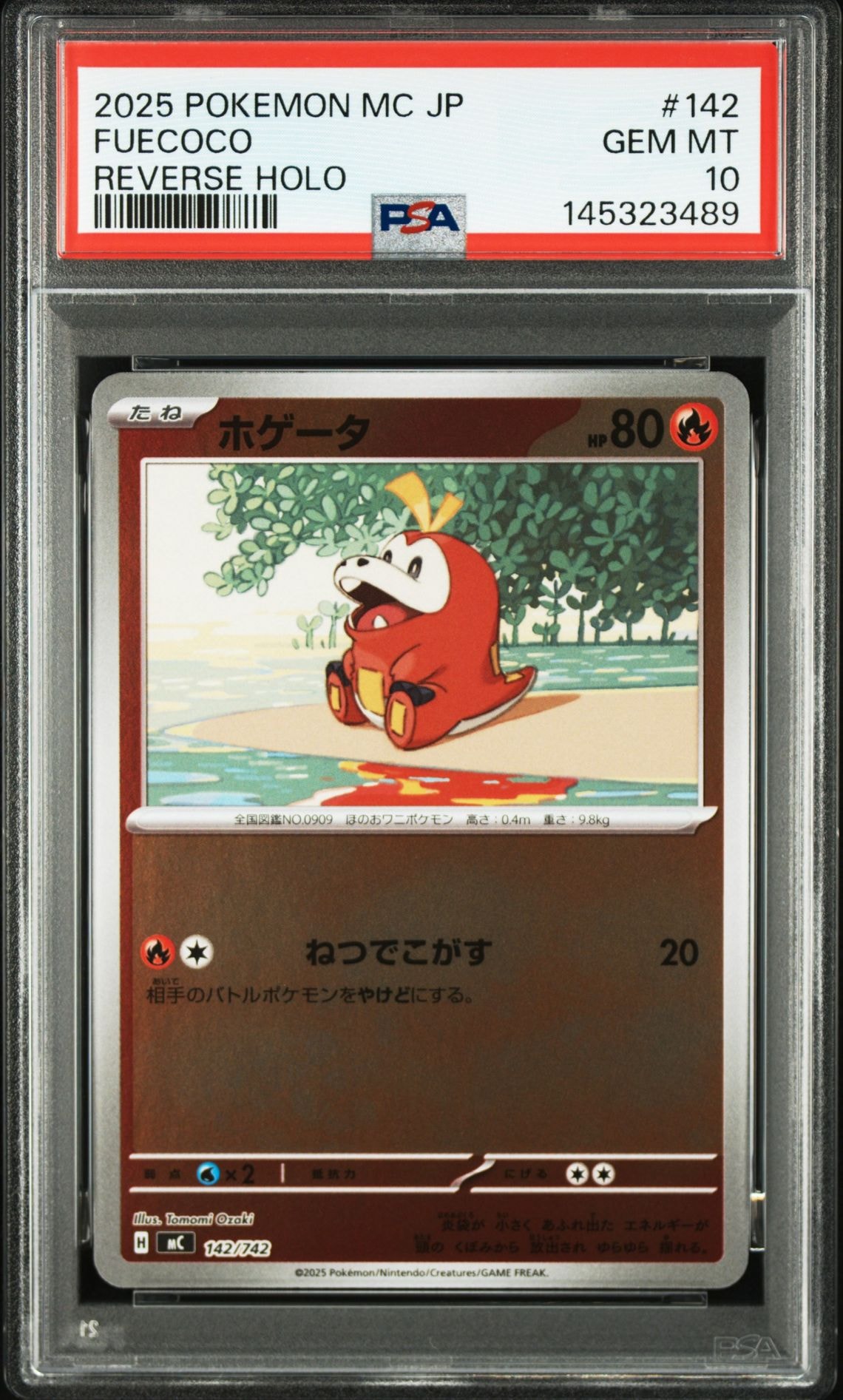 ホゲータ :ミラー [MC 142/742](スタートデッキ100「バトルコレクション」)