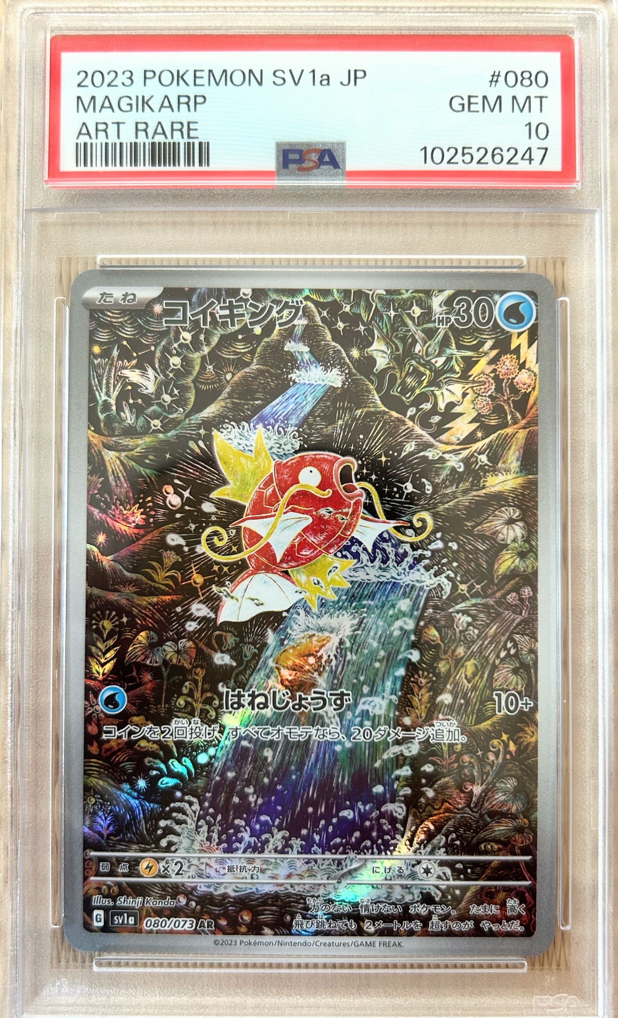 コイキング AR[SV1a 080/073](スカーレット&バイオレット 拡張パック「トリプレットビート」)