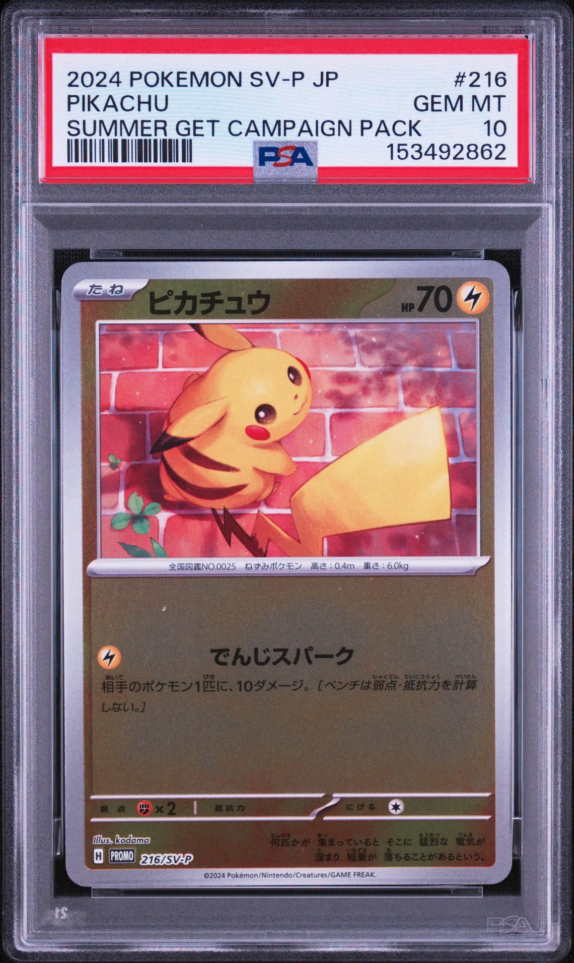 ピカチュウ P [SV-P 216](プロモカードパック「ポケカの夏がキタ