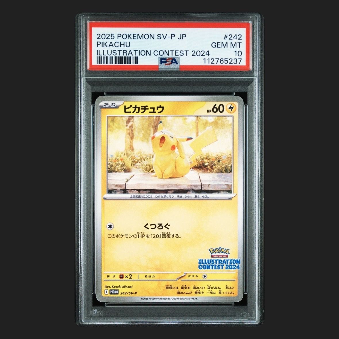 ピカチュウ [SV-P 242](プロモカードパック「イラストレーションコンテスト 2024 受賞作品プロモカード化記念キャンペーン」)