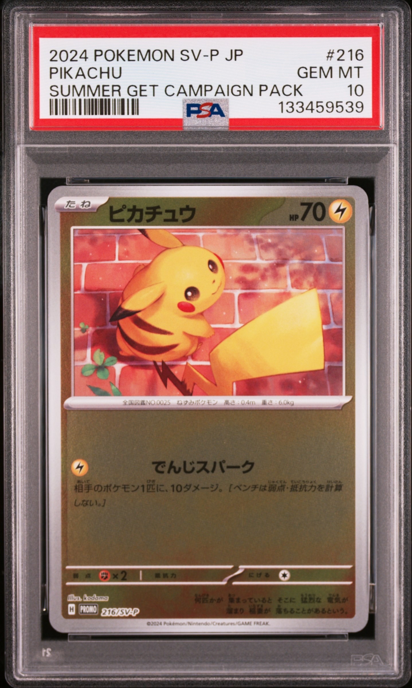 ピカチュウ P [SV-P 216](プロモカードパック「ポケカの夏がキタ!プロモカードGetキャンペーン!」)
