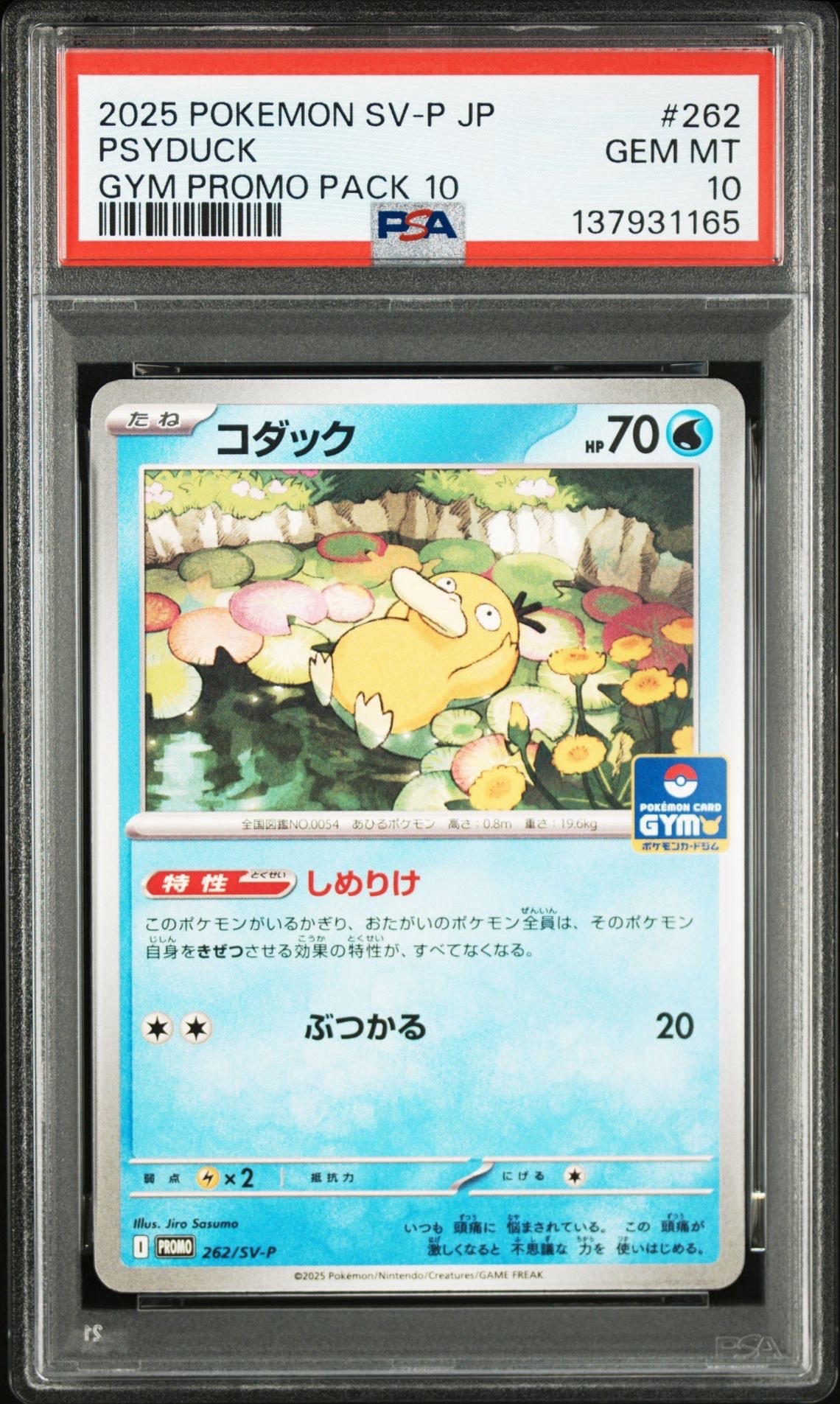 コダック P [SV-P 262](プロモカードパック「第10弾」)